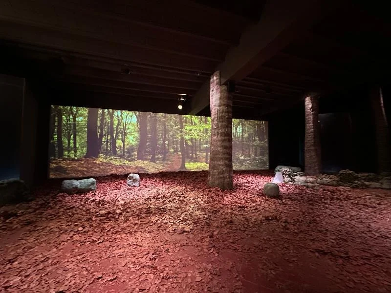 Sala del Espai Montseny con hojas en el suelo, troncos y proyecciones de un bosque