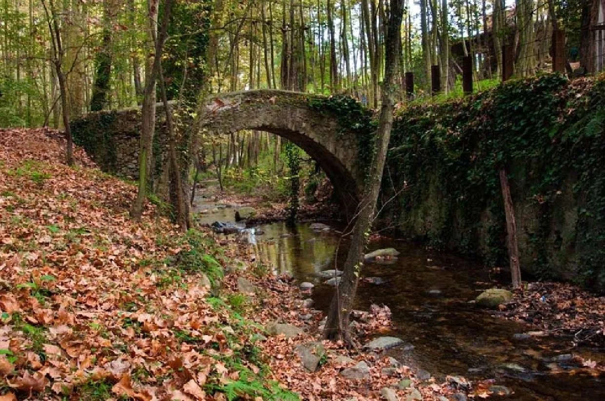 Pont del Molí d’en Figueres sobre la riera de Gualba, entre árboles y hojas de otoño