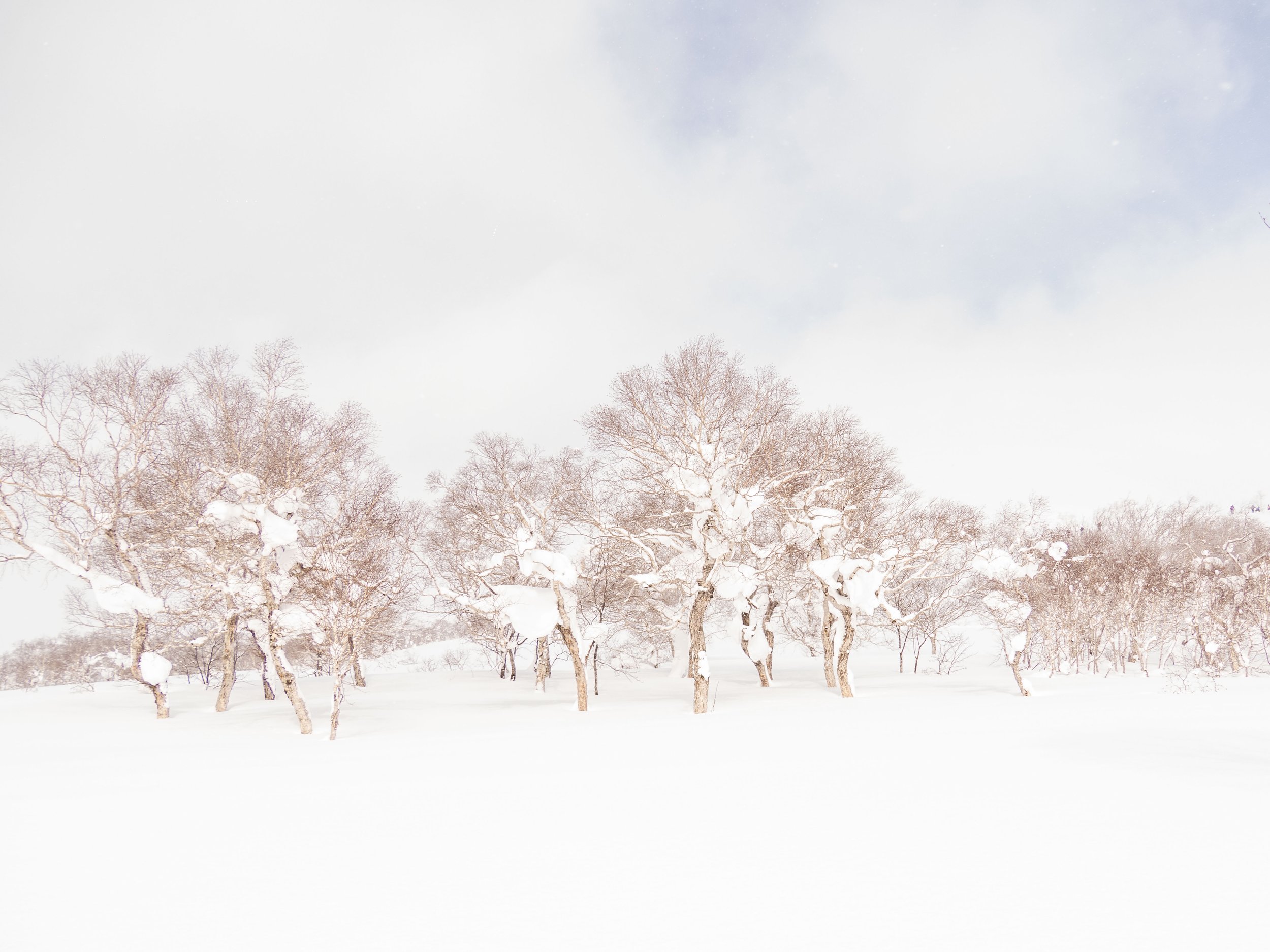 _ARD1029-2.jpg