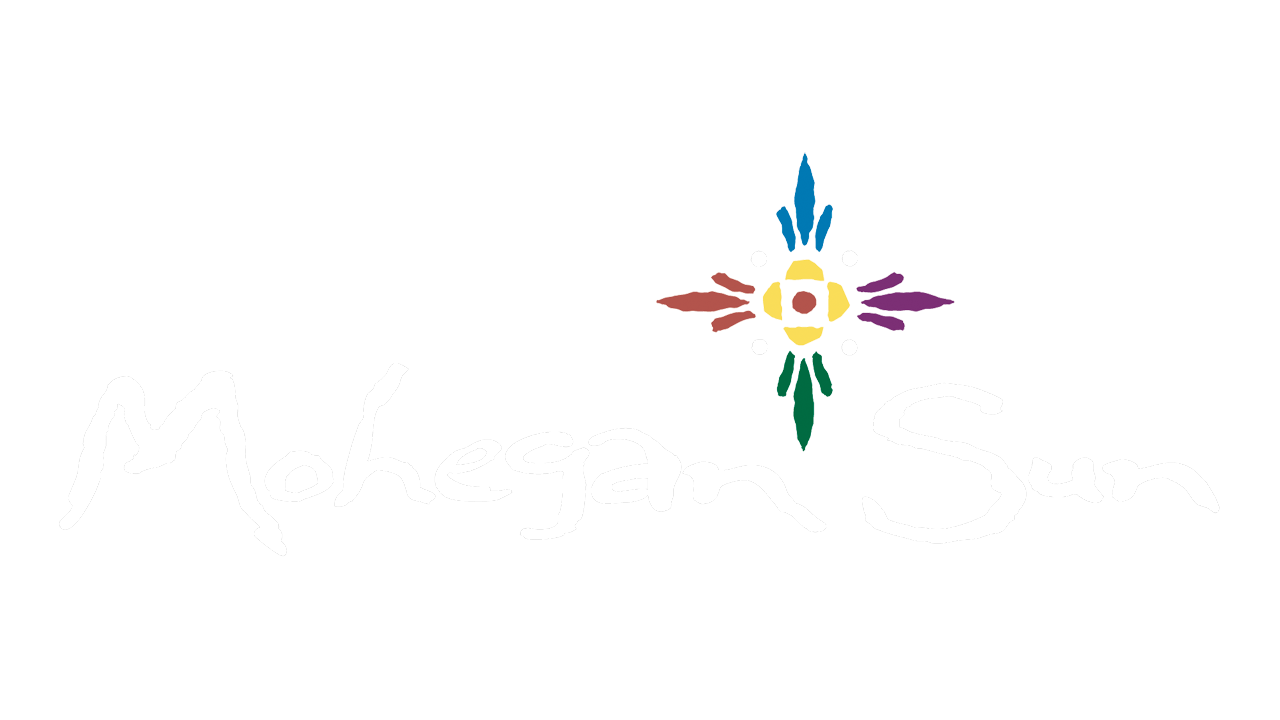 Moeagan Sun logo with colorful floral design above the text