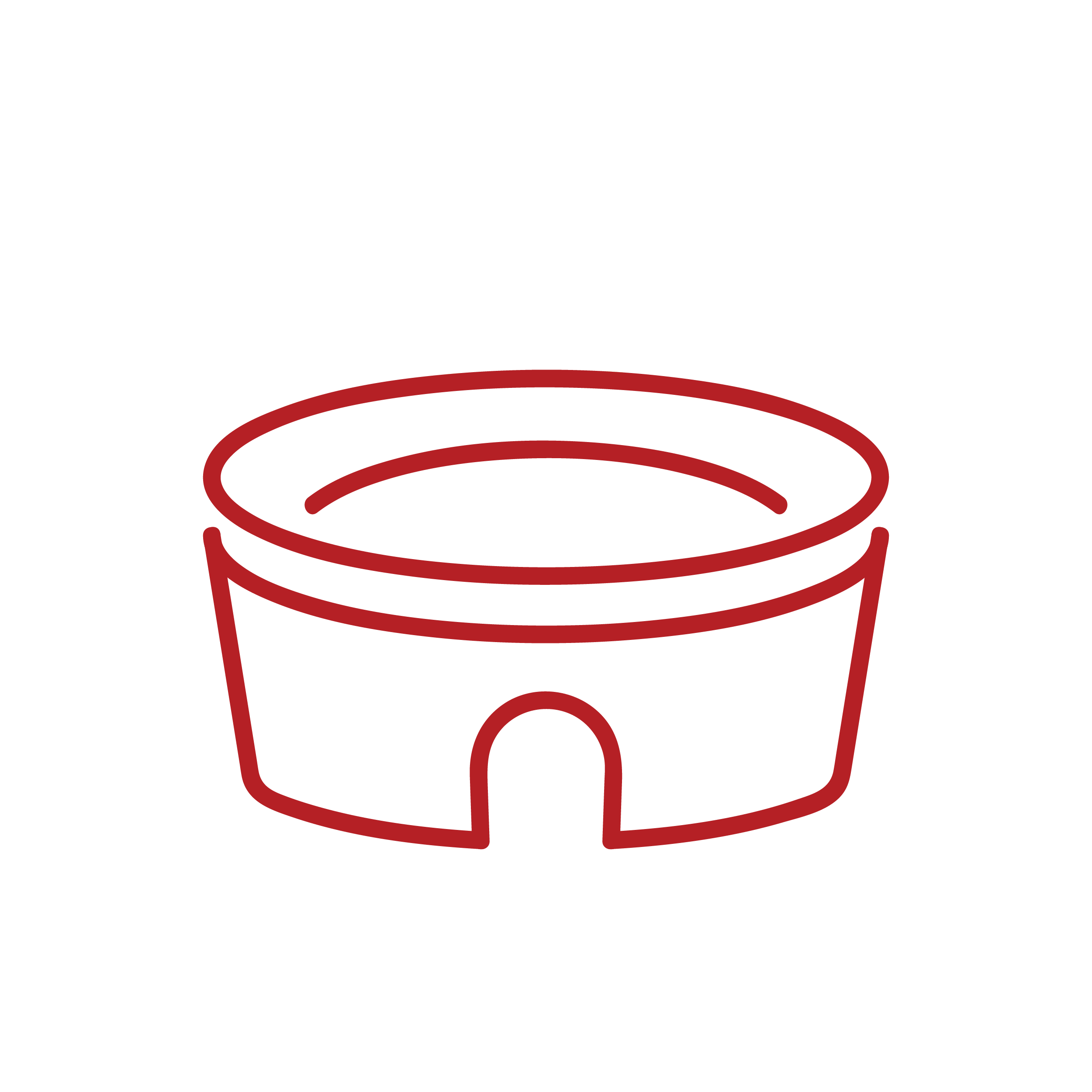 Outline of a stadium in red.