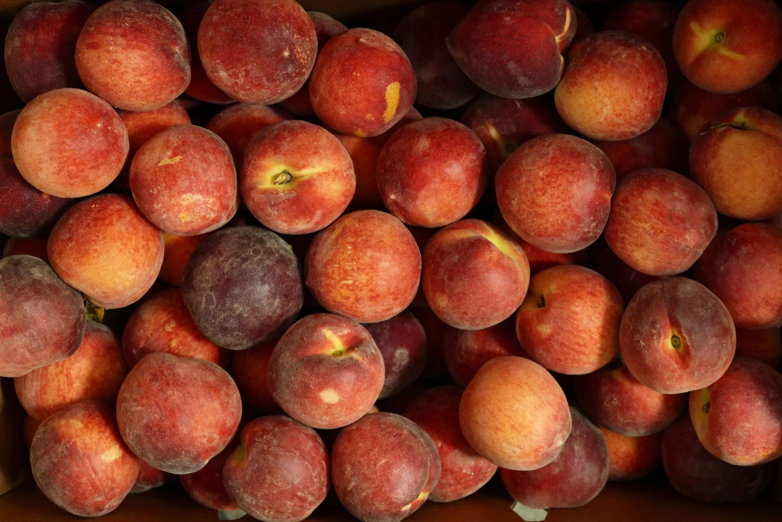 Peaches.jpg