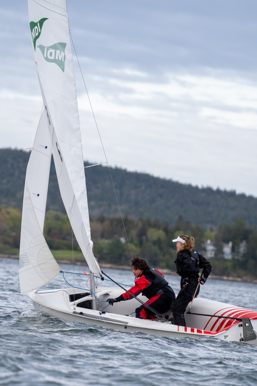 LSS09995-Enhanced-NR Large.png