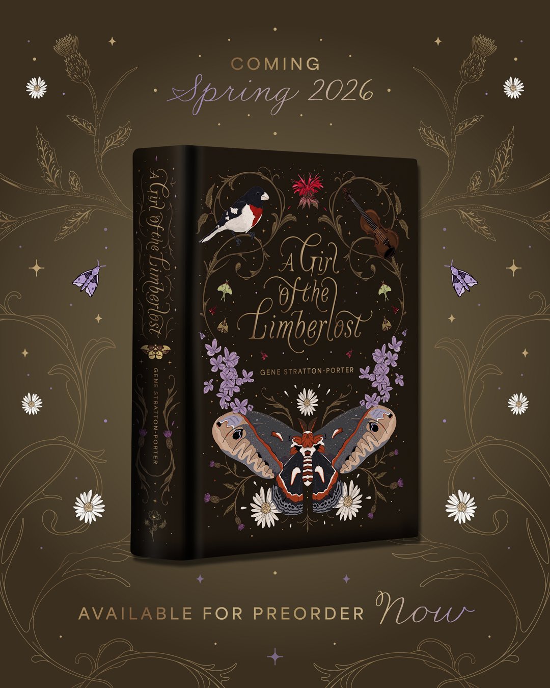 A Girl of the Limberlost