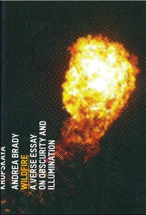 wildfire-brady.jpg