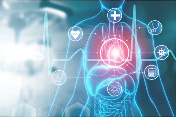 A tranparent image of a human body, with symbols highlighting key areas