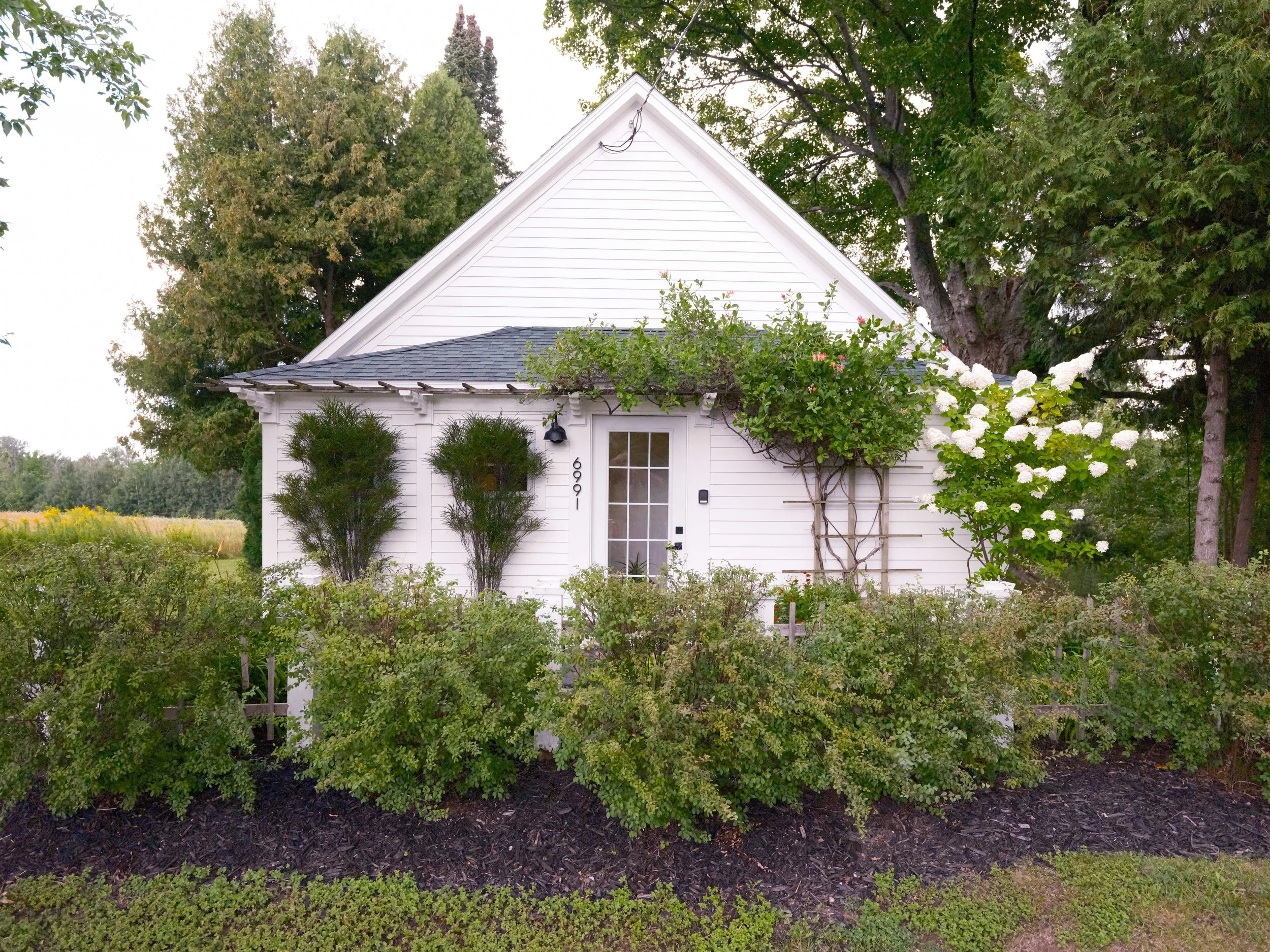 DSCF7143.jpg