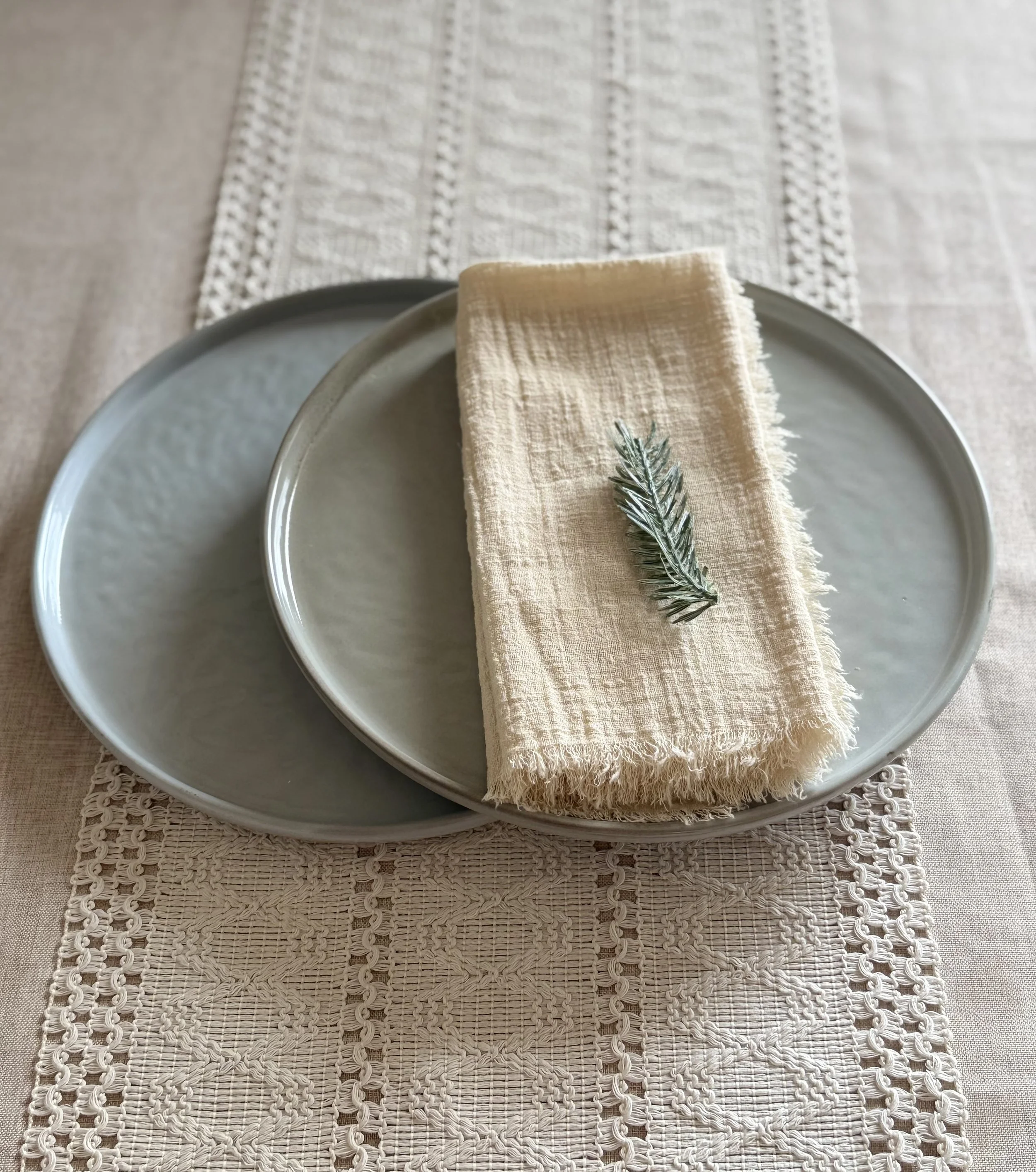 2 plates and 2 napkins x.jpg