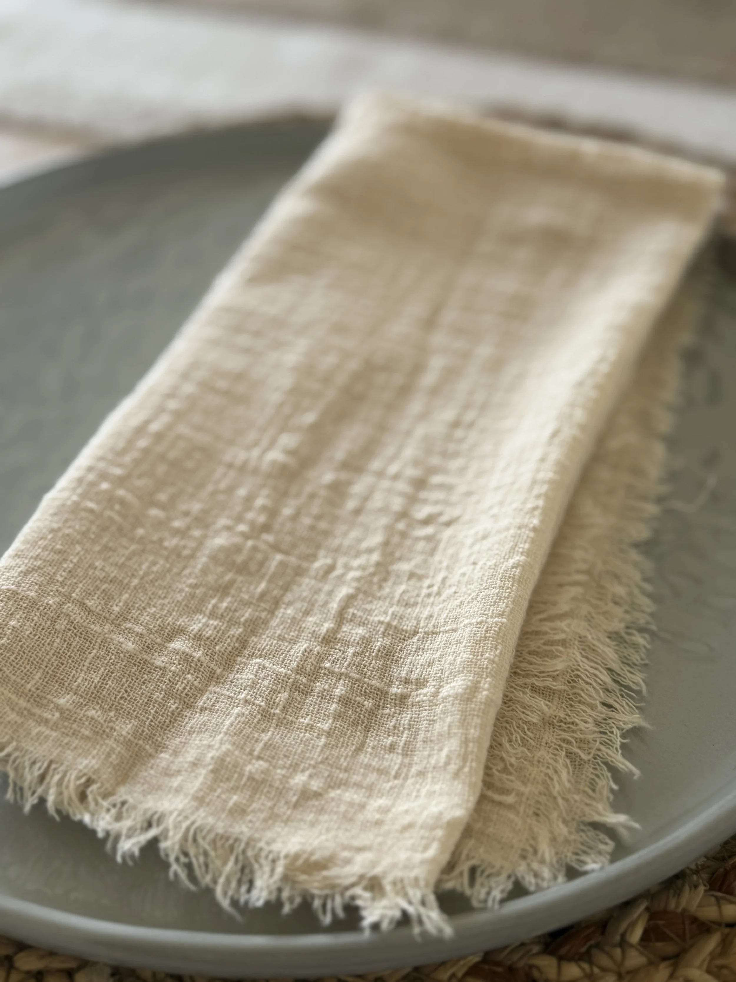 Napkin on plate.jpg