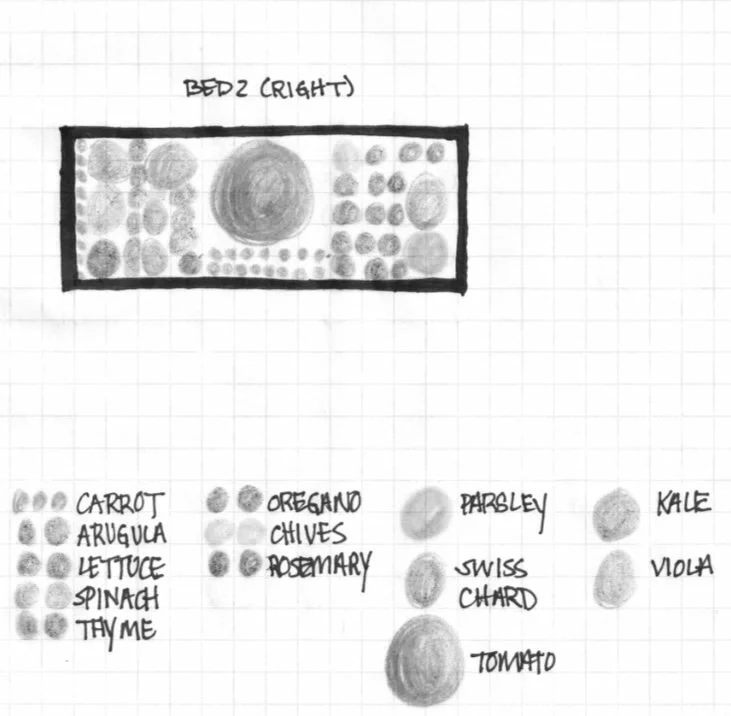 Container garden planting plan
