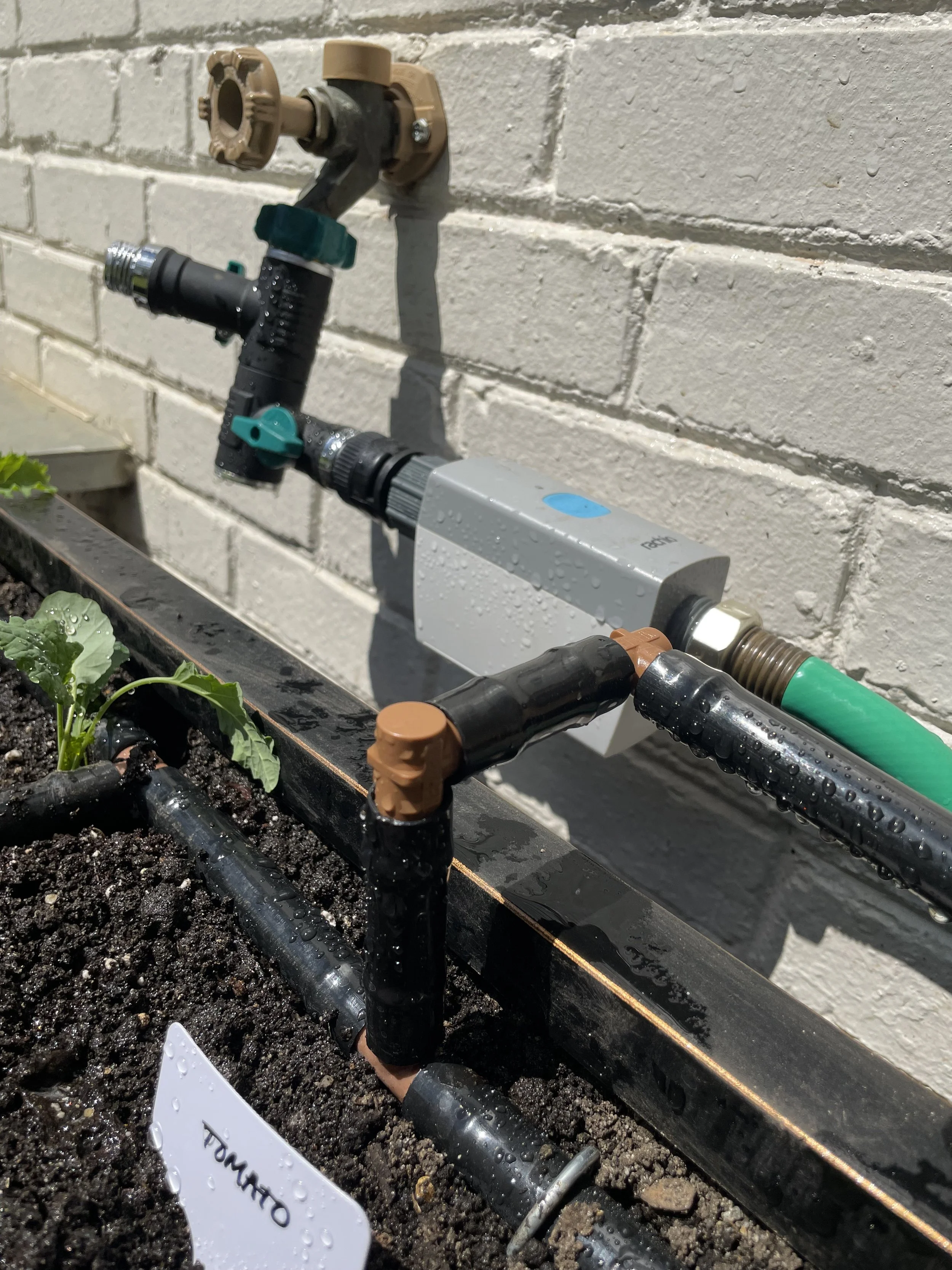 Automated Rachio drip irrigation