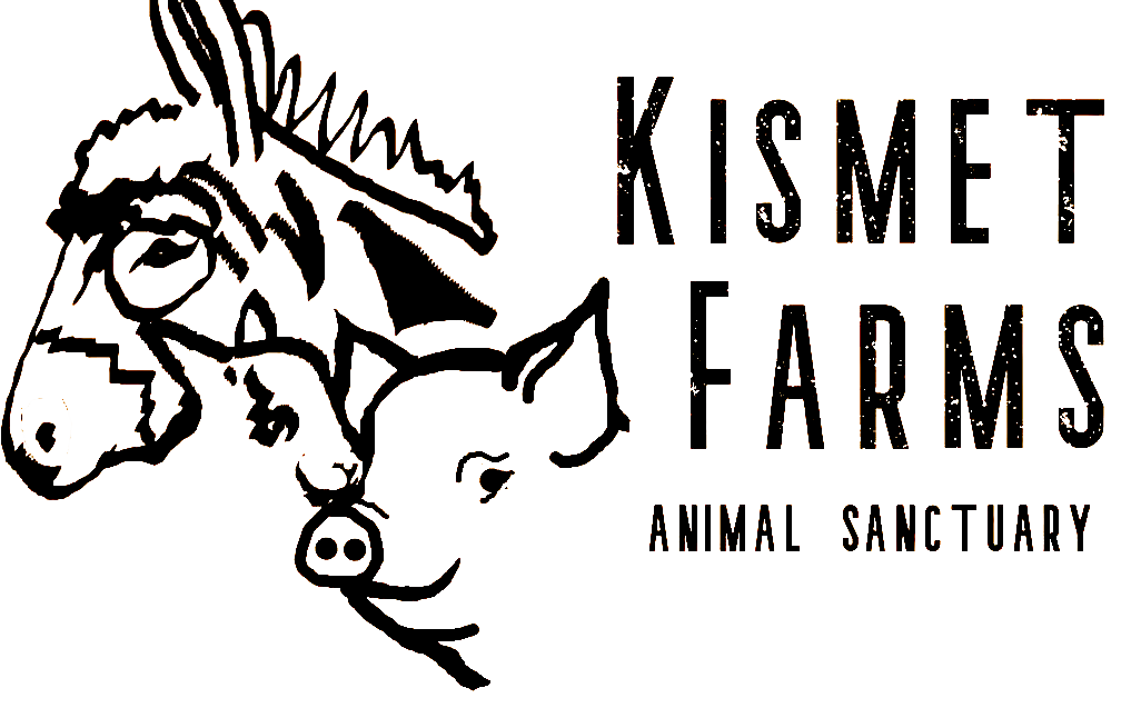 Kismet Farms Sanctuary