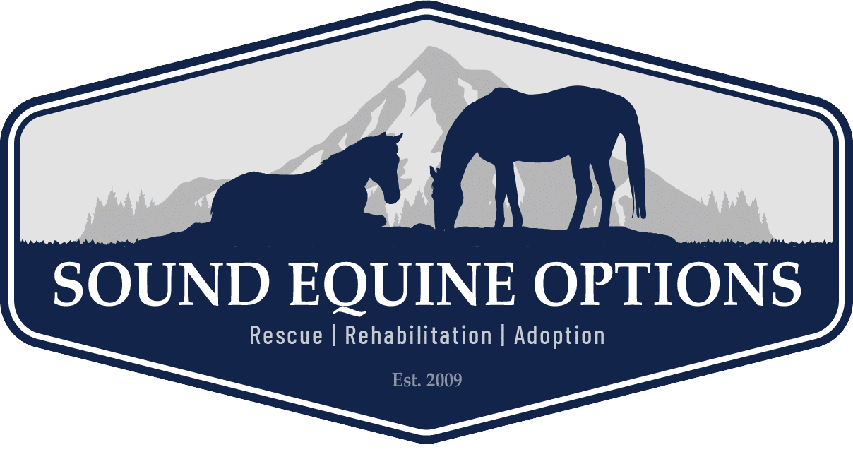 Sound Equine Options