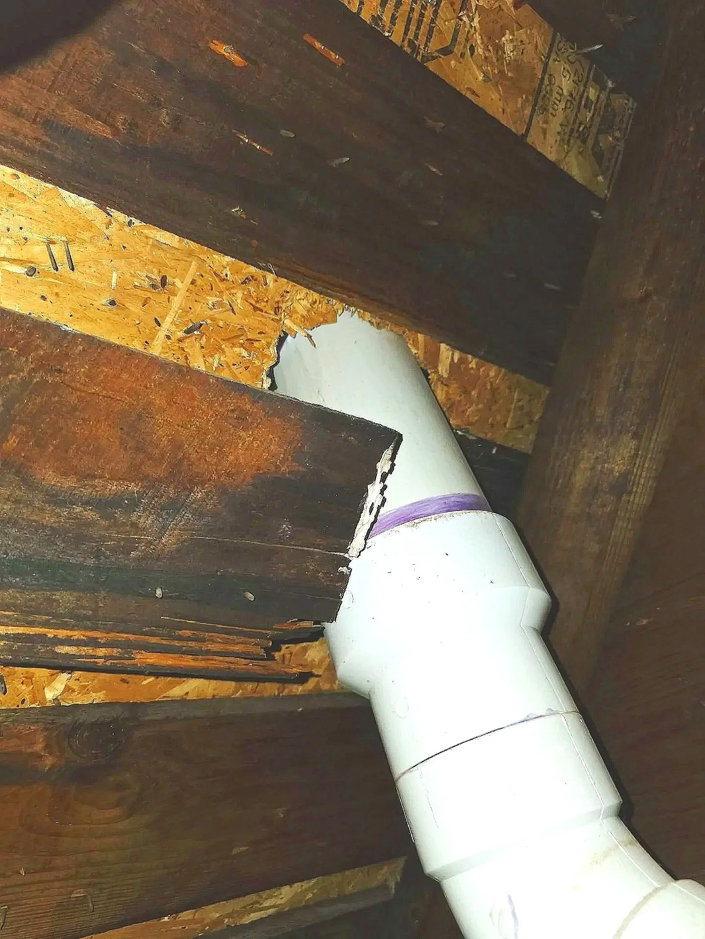 A plumbing pipe through a hole in a wooden wall or floor.