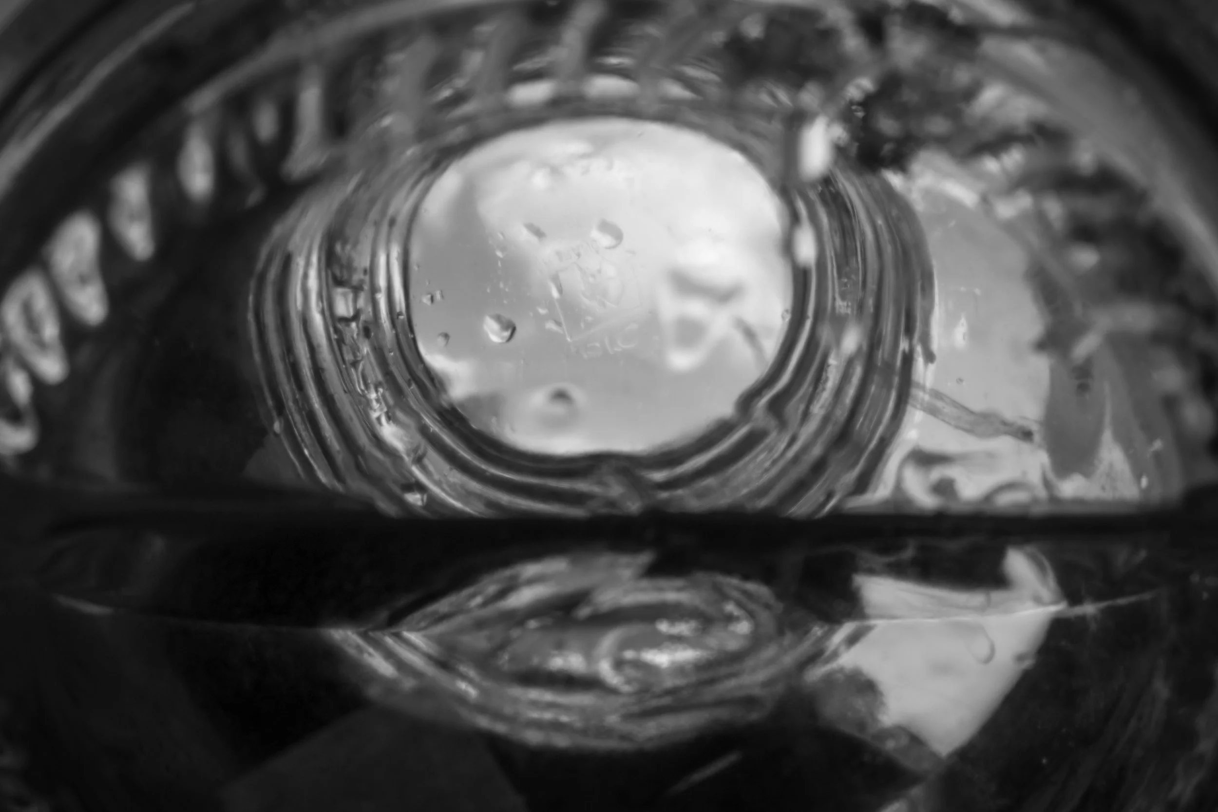 Kuhl_Intro_A2_o6242020(04).jpg