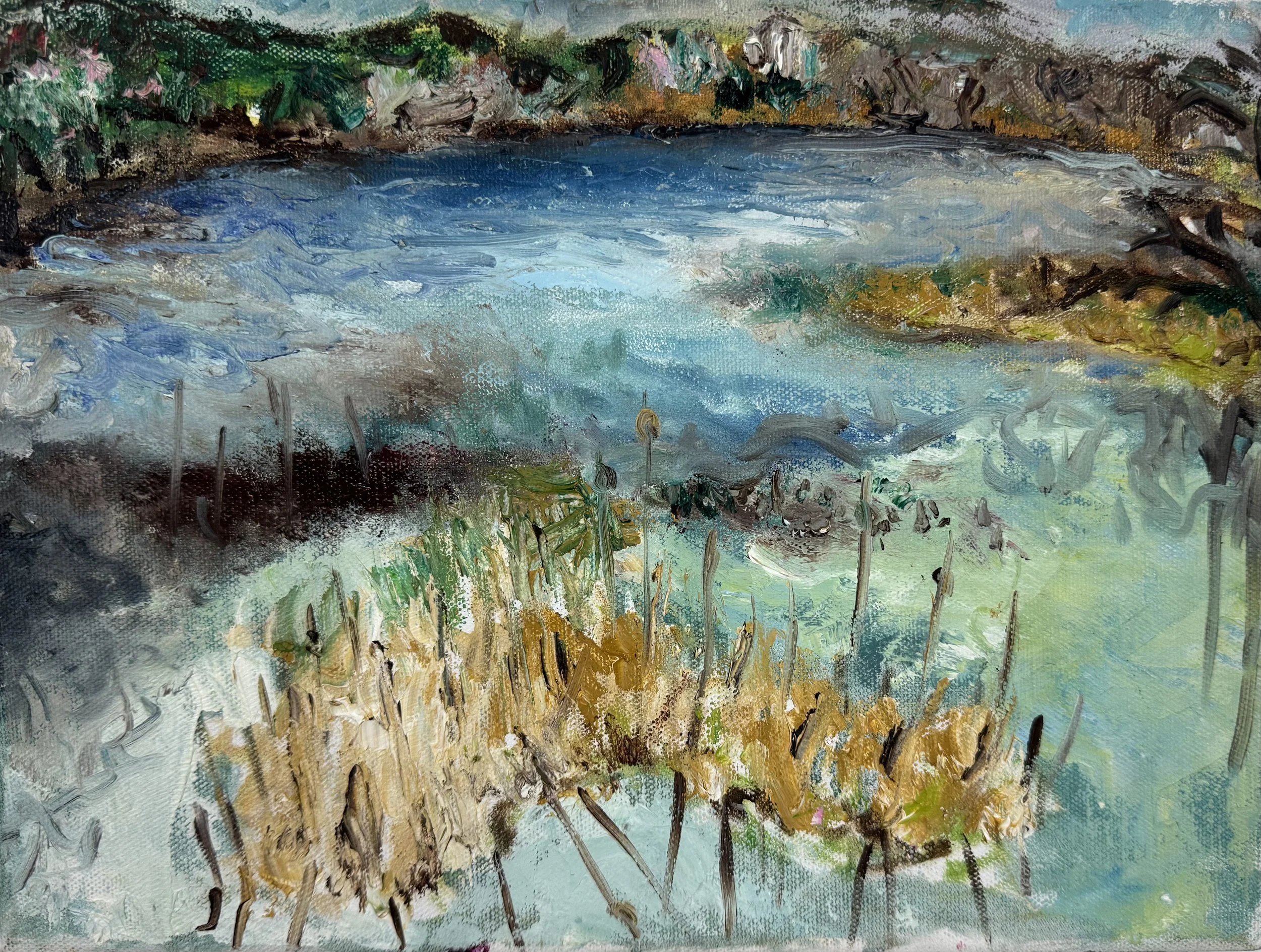 Marsh 2003  Oil on canvas, 14x18 inches
