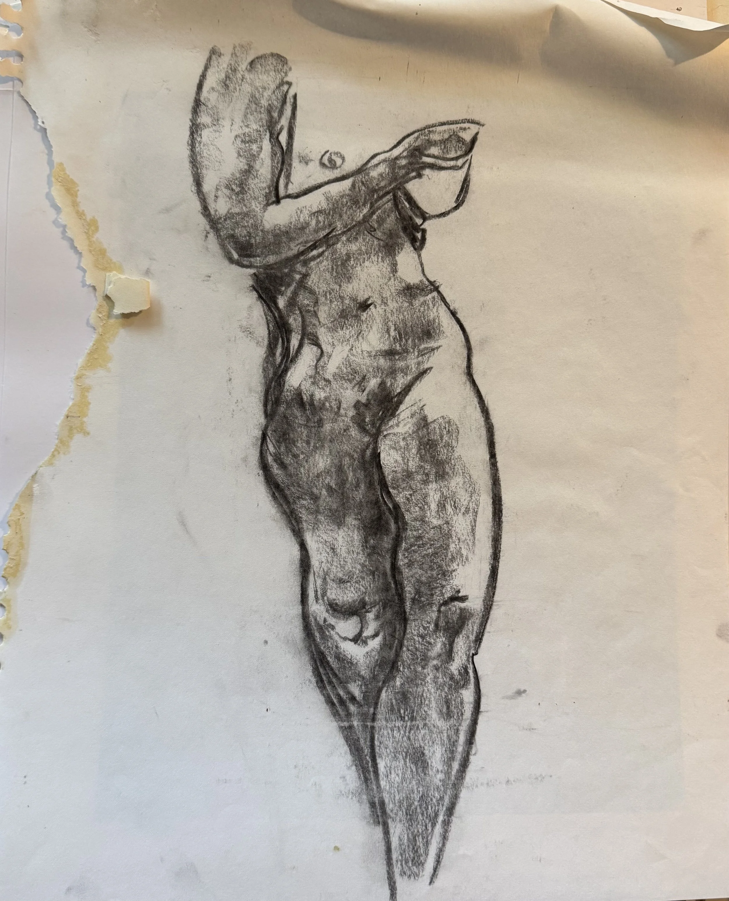Nude Sketch  Charcoal on paper, 18x12 inches