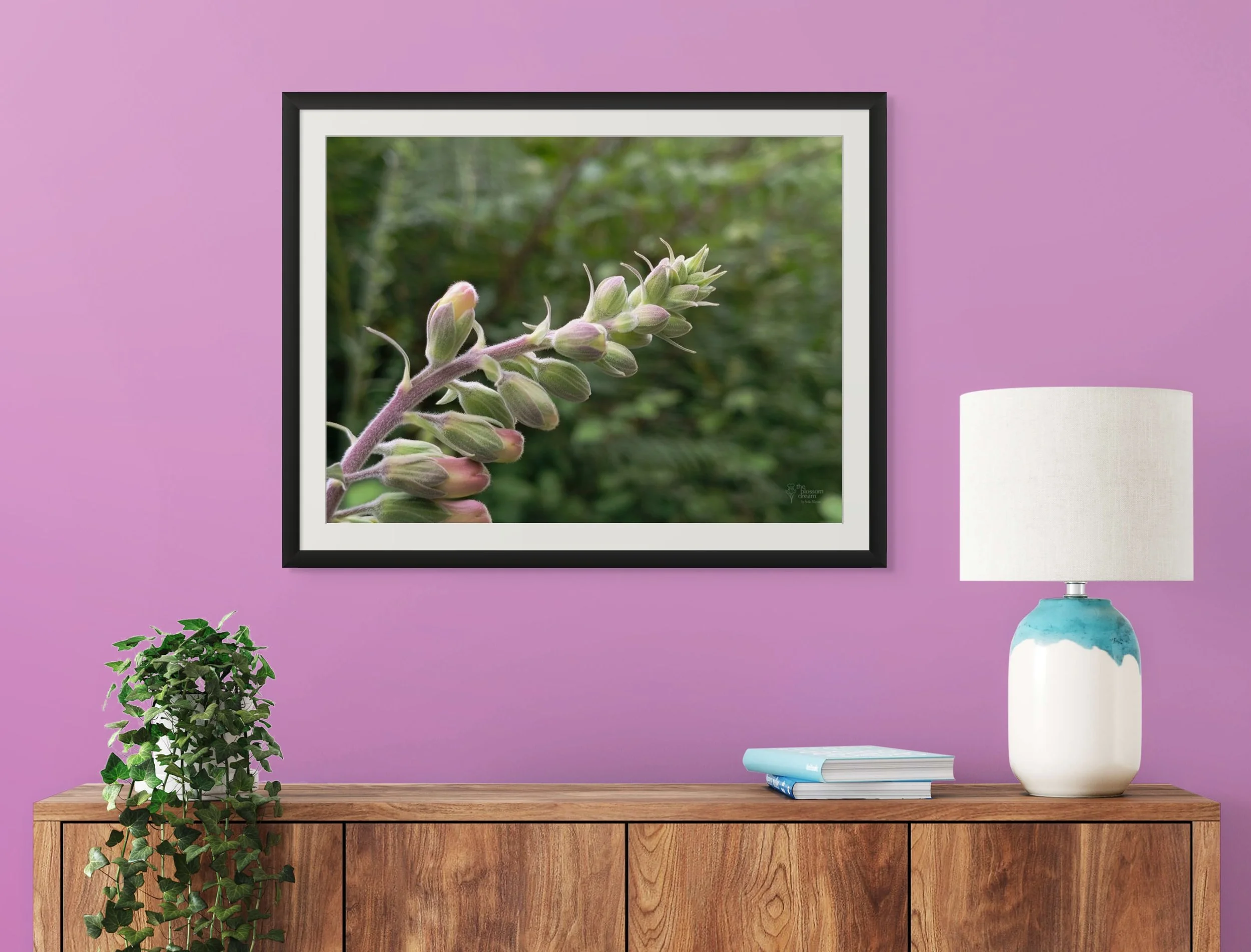 foxglove_buds_matted.jpg