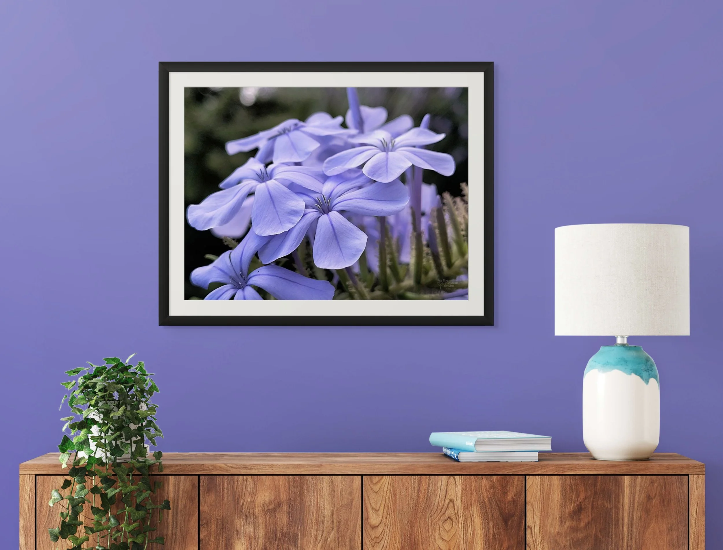 plumbago_matted.jpg