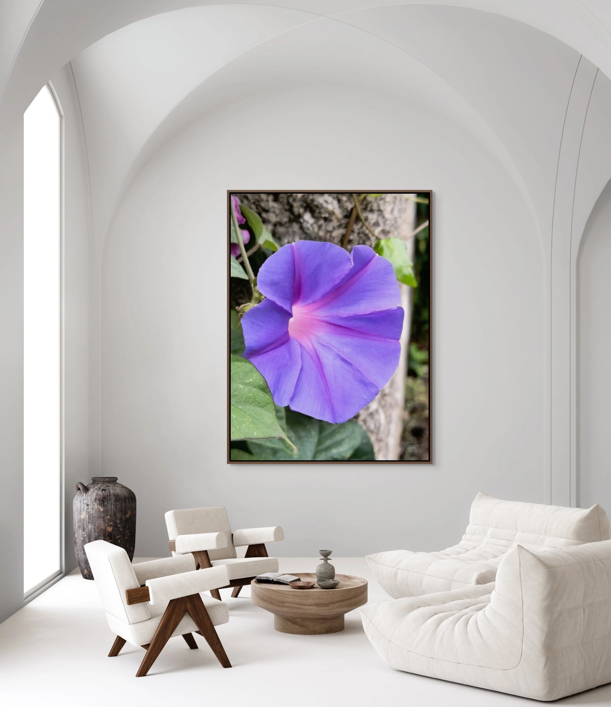 morning_glory_floating.jpg
