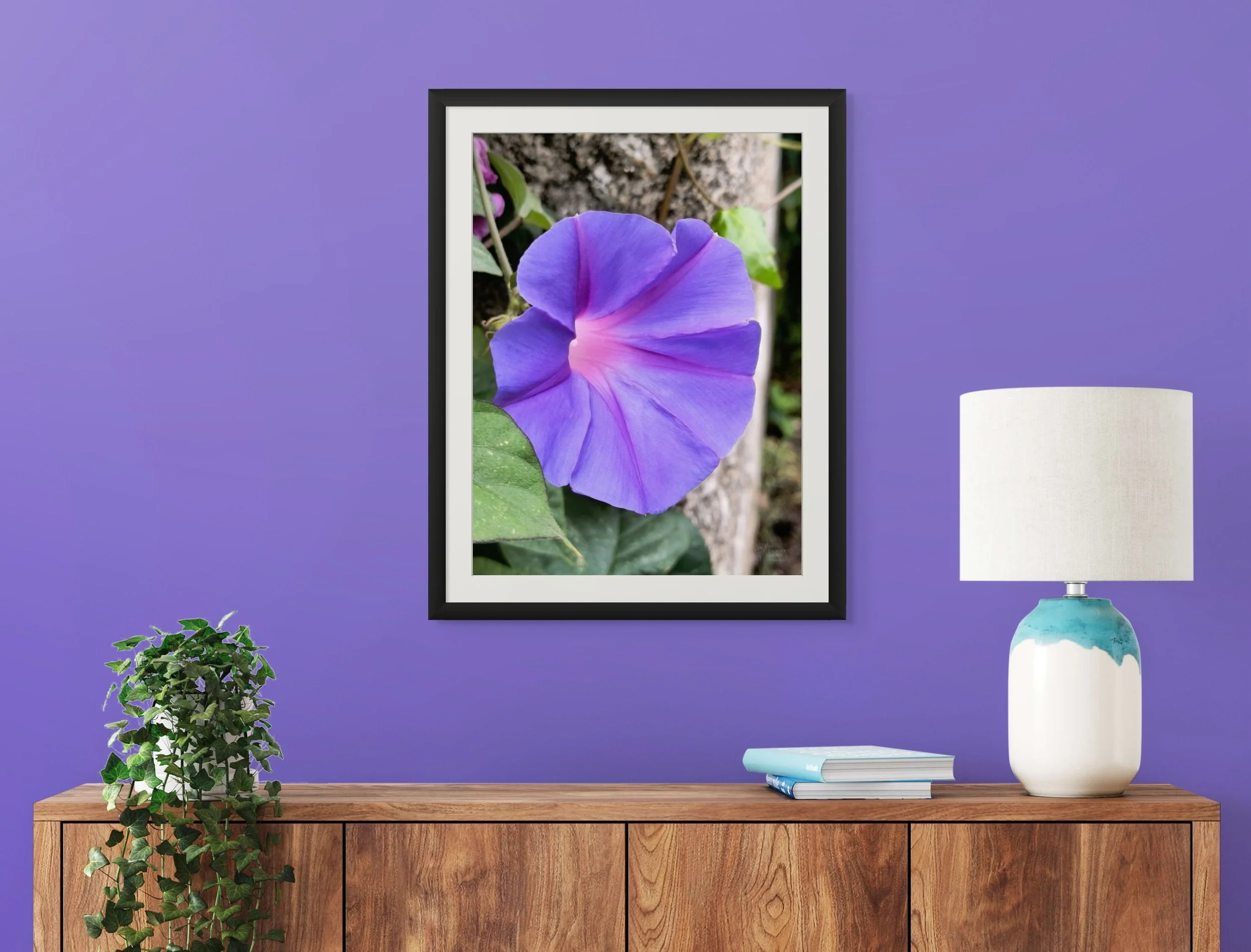 morning_glory_matted.jpg
