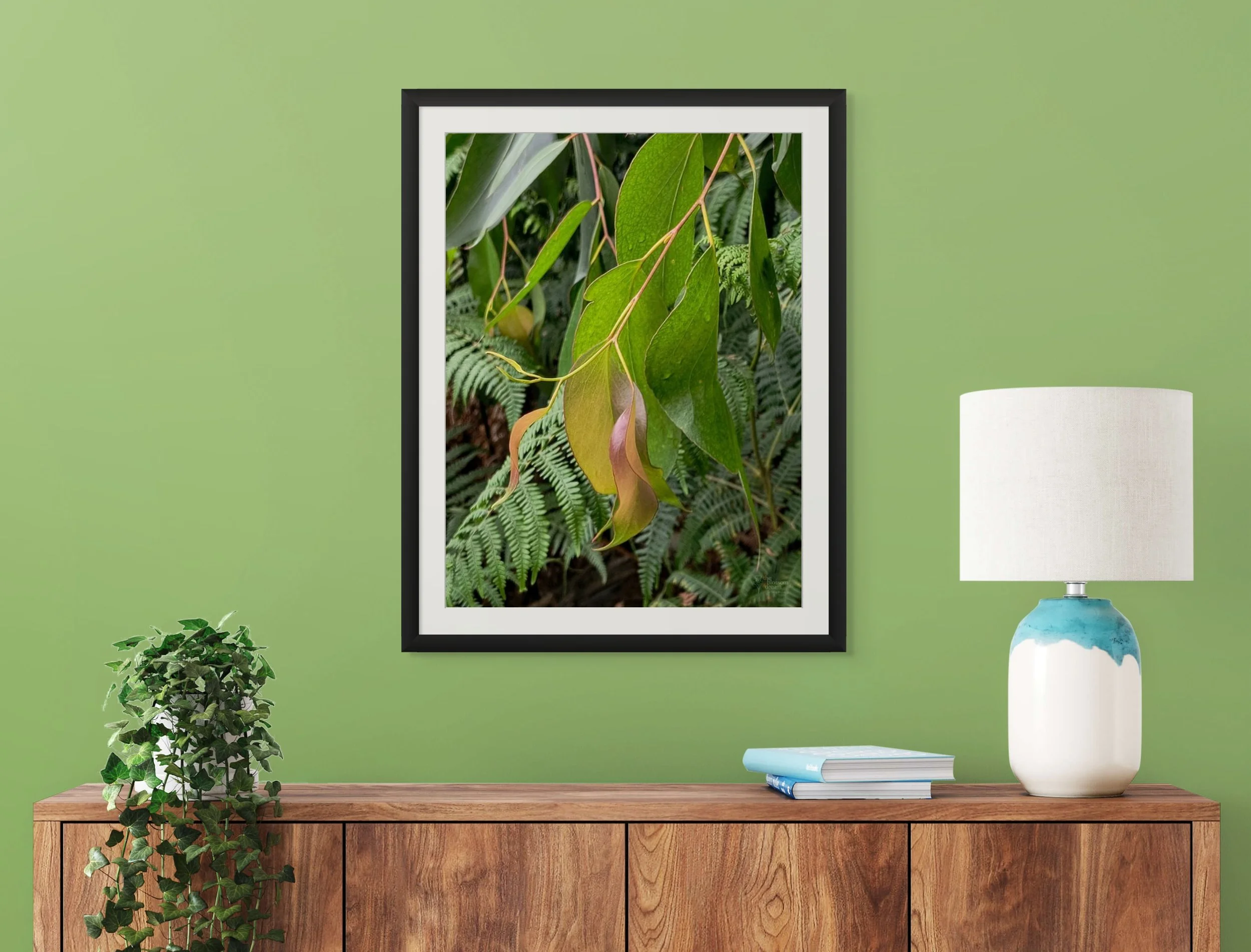 eucalyptus_leaf_matted.jpg