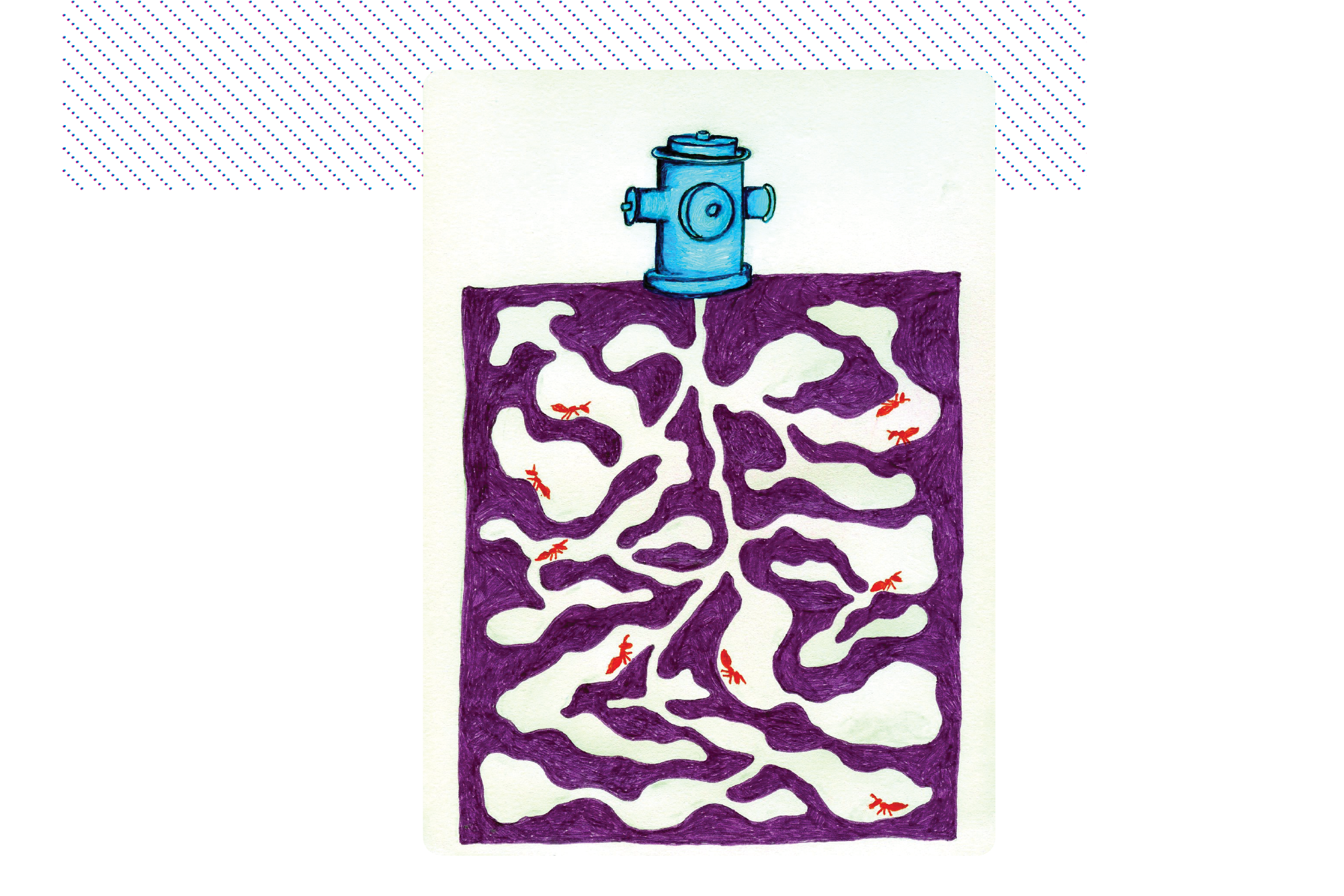 zzFolio_Coldcut24.png