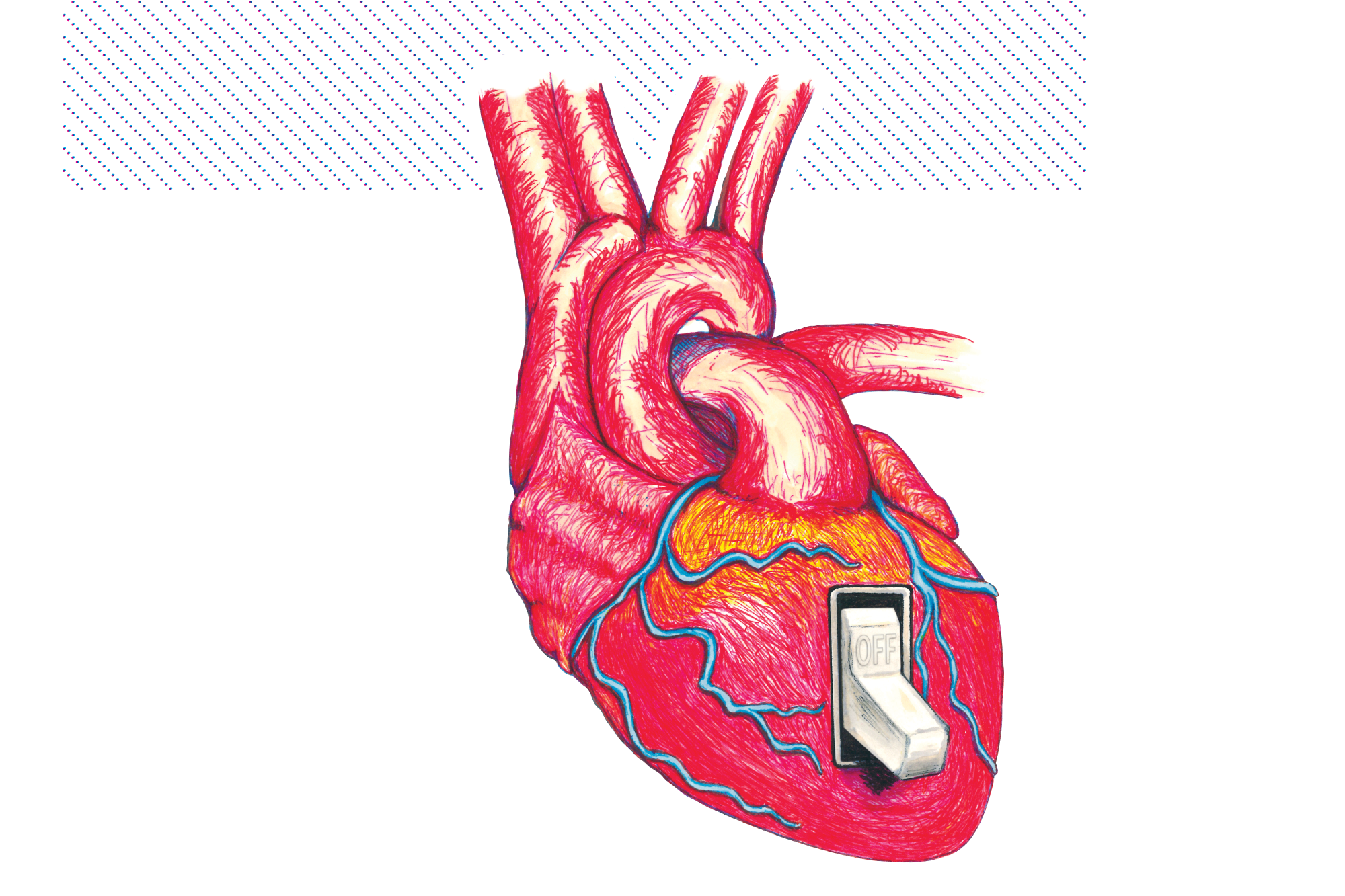 zzFolio_Coldcut4.png