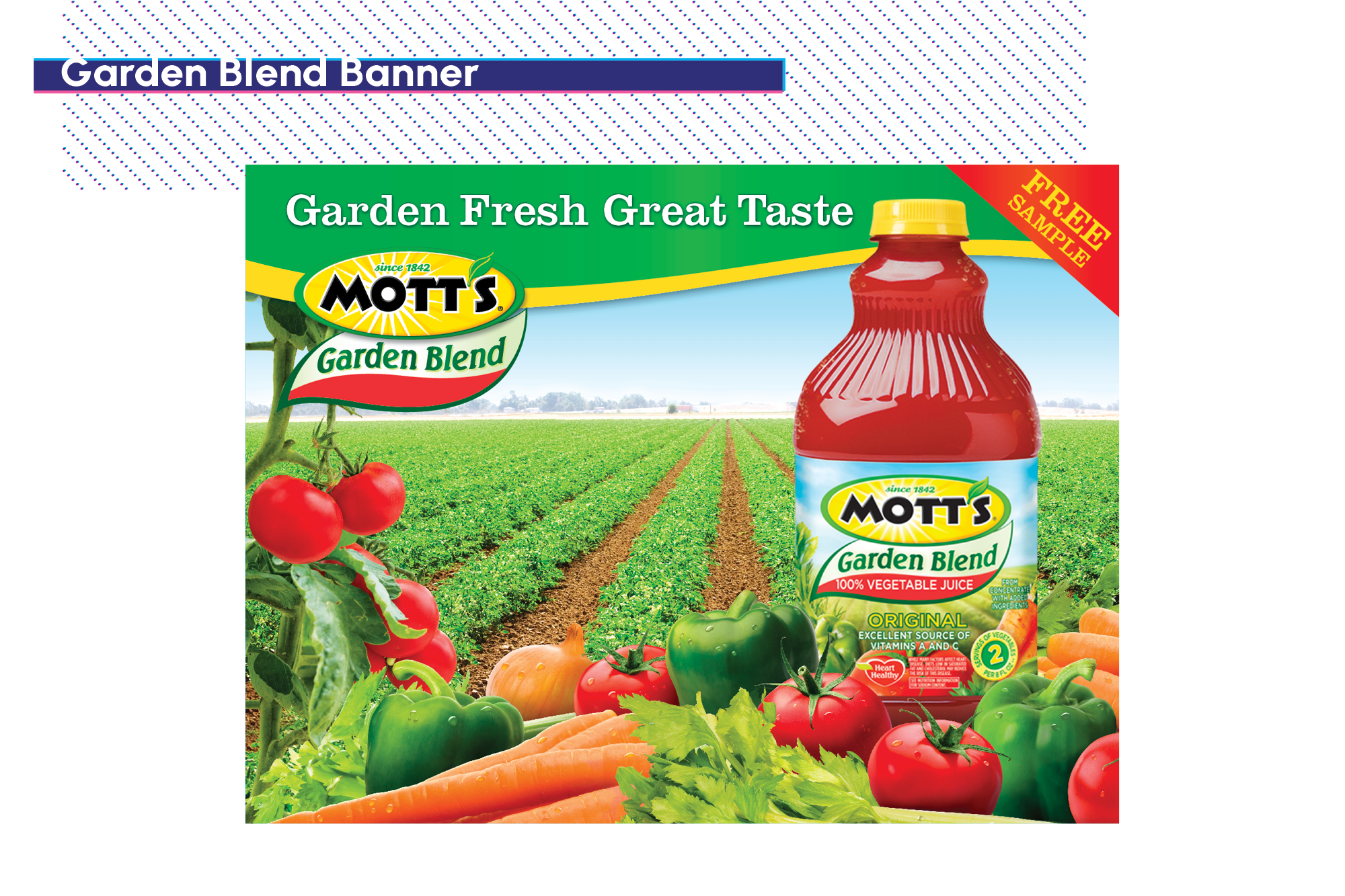 zzFolio_MOTTS3.png