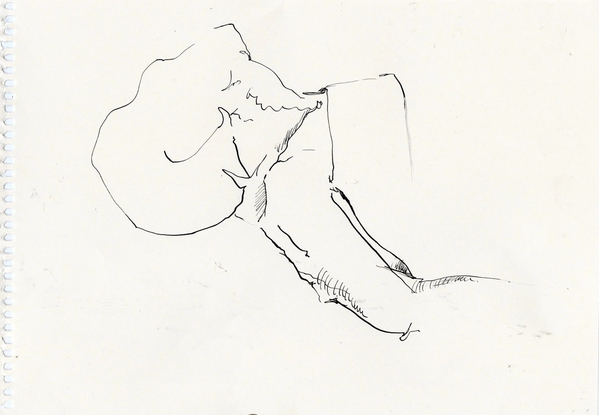 Indian Ink on Paper.