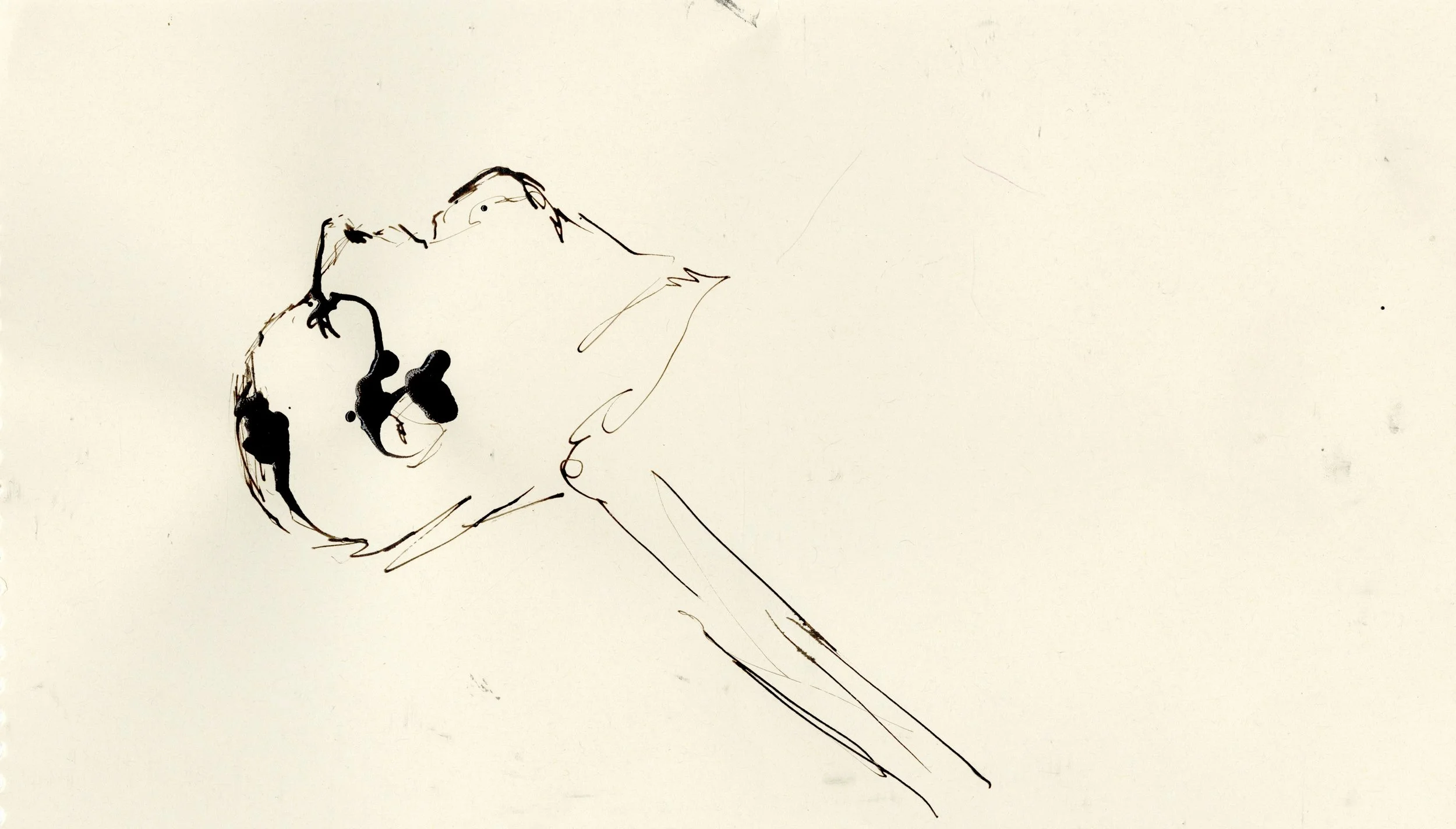 Indian Ink on Paper.