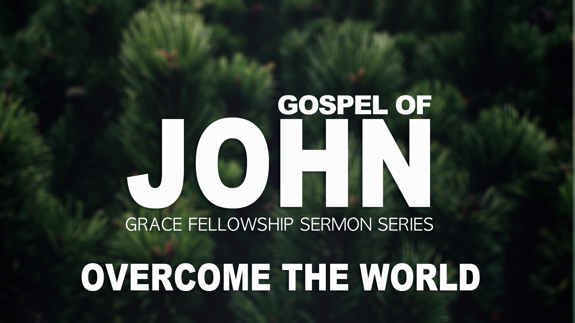 John: Overcome The World