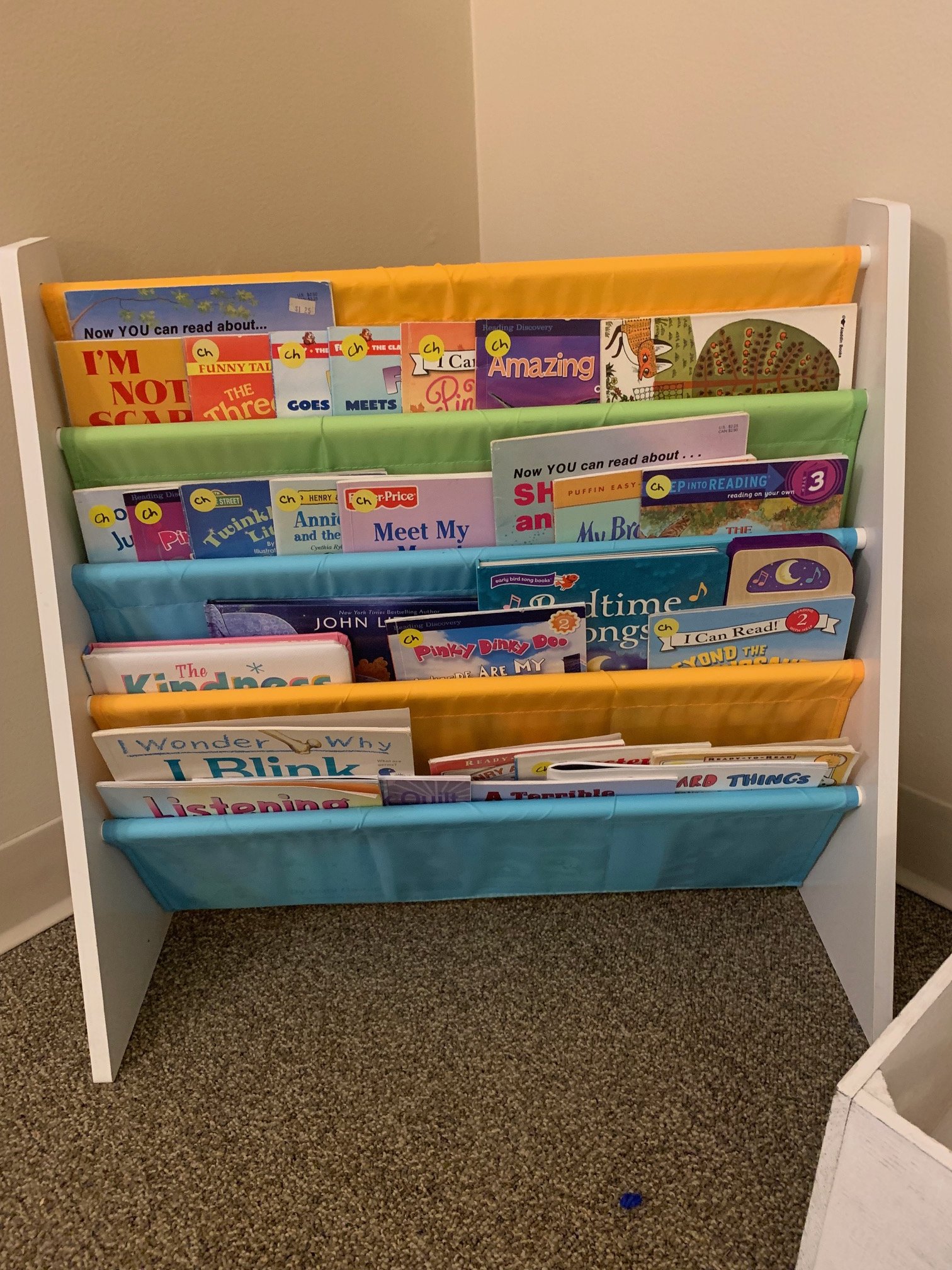 Plenty of books - some about feelings, some about social skills, some about animals, nature, and topics your kiddo enjoys.