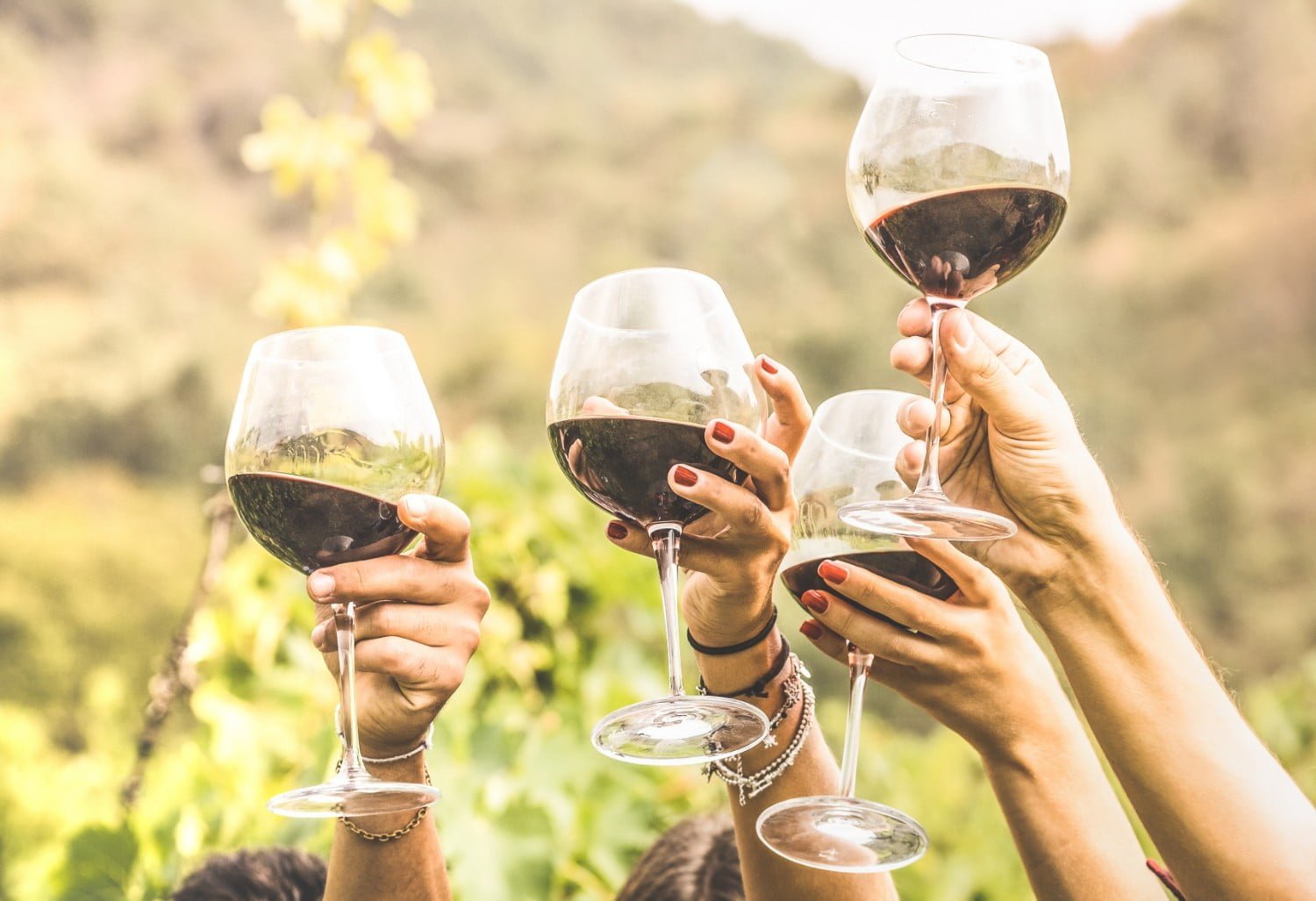 Multiple people raising glasses of red wine in a toast outdoors with a blurred scenic background.
