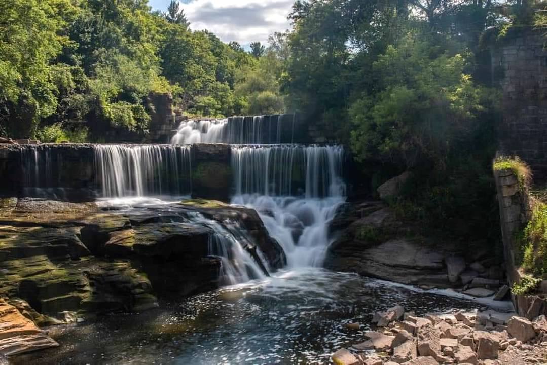 Waterfall cascading over rocks in a forested area with lush green trees and a rocky stream at the bottom.