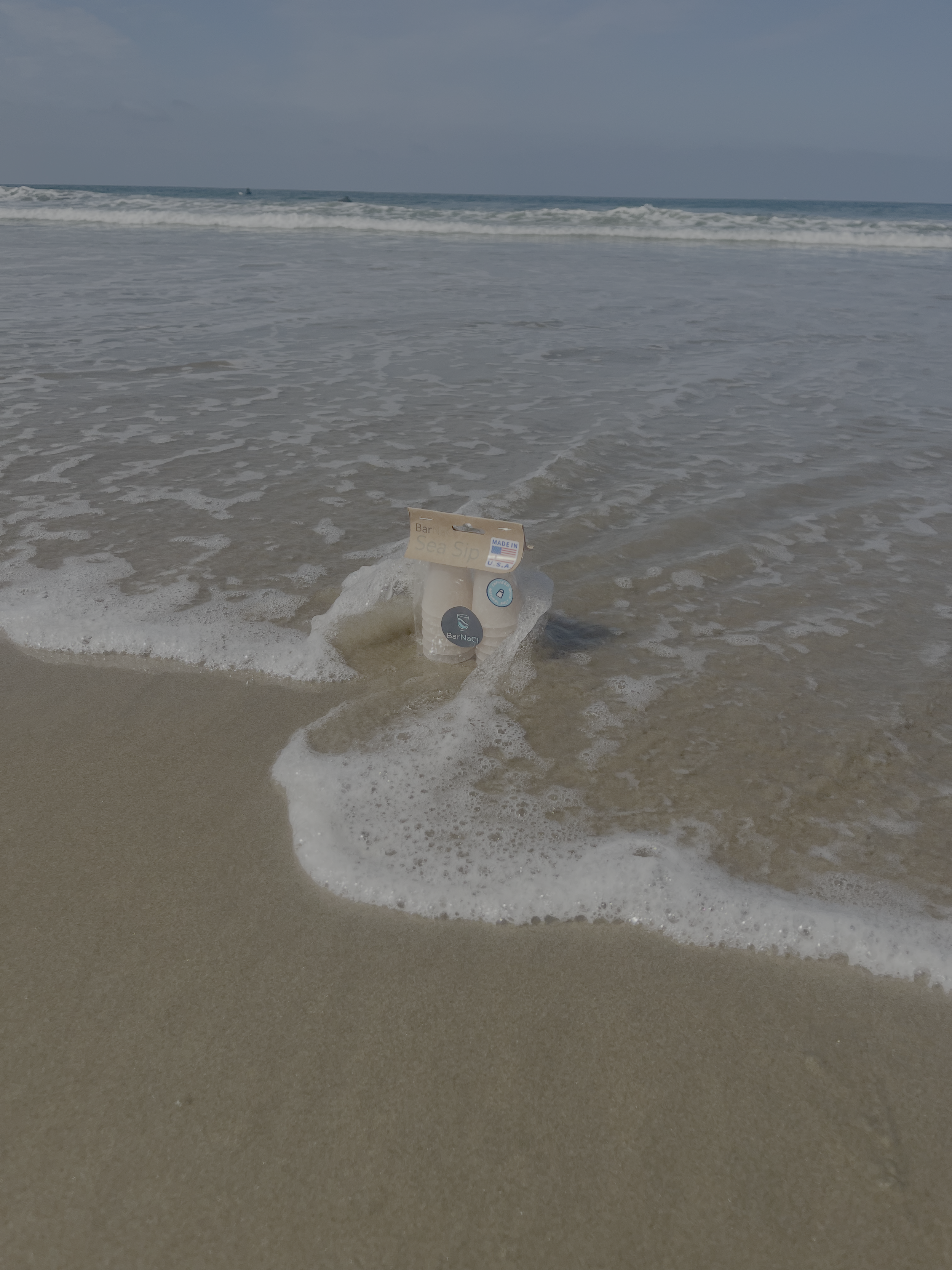 Sea Sip Shot Glass