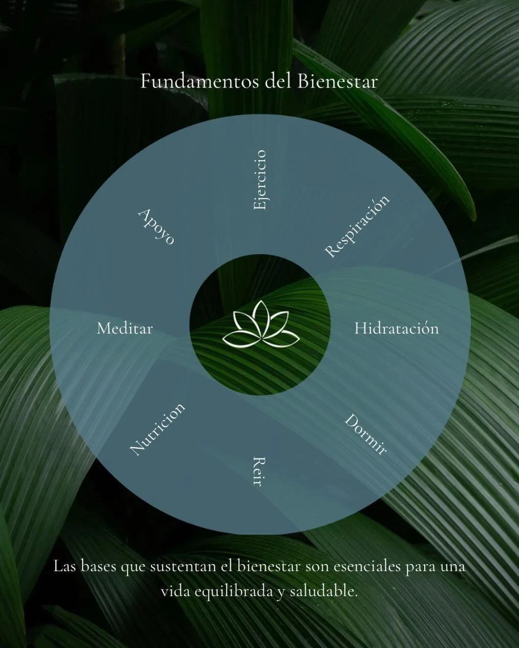 El bienestar no es un resultado&hellip; es una pr&aacute;ctica diaria construida sobre peque&ntilde;as acciones que sostenemos con intenci&oacute;n.

Dormir bien, mover el cuerpo, hidratarnos, pedir apoyo, nutrirnos y hacer pausas conscientes: todo s