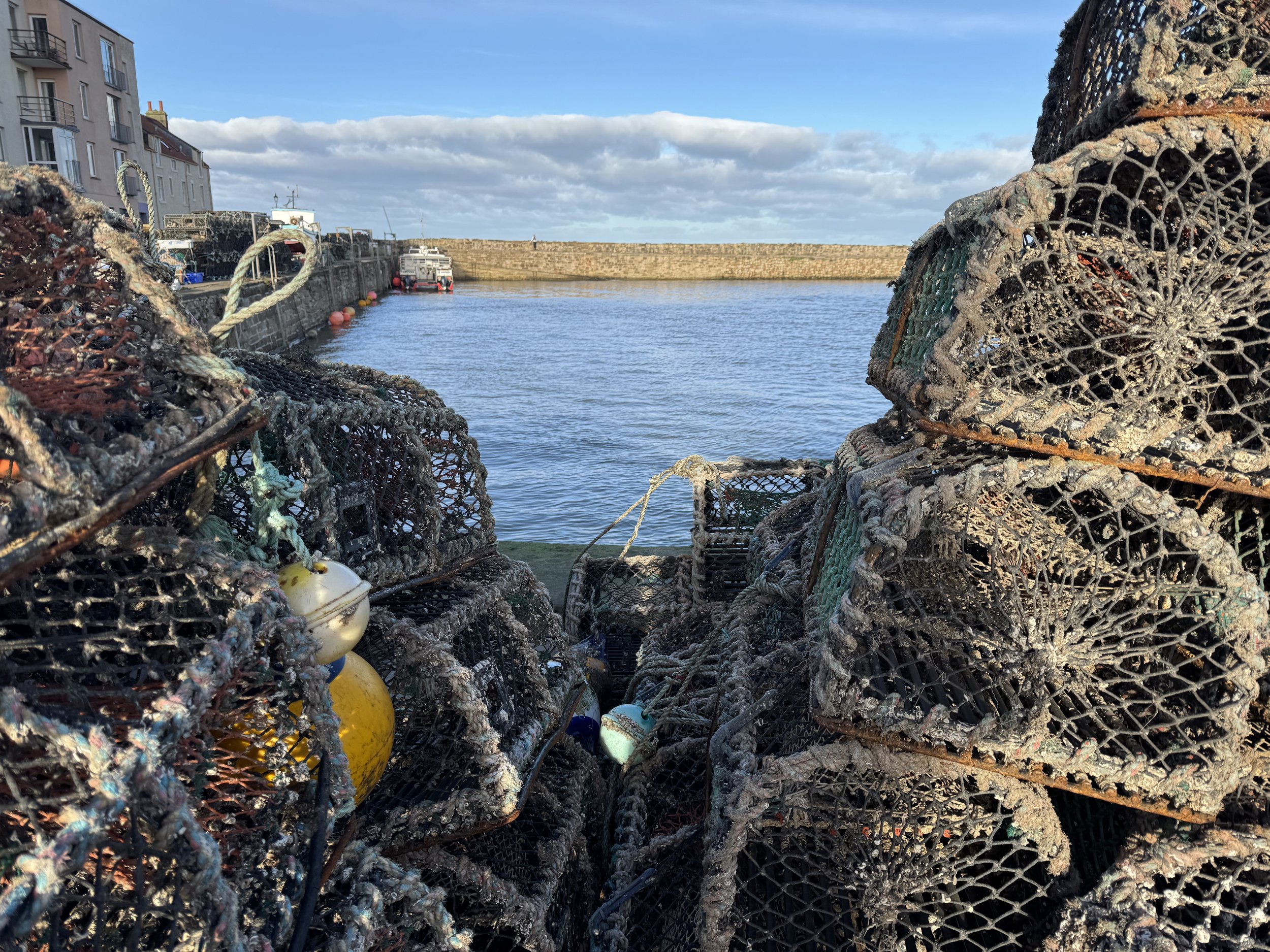 Sand, sea, and St Andrews