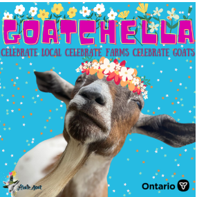 Goatchella