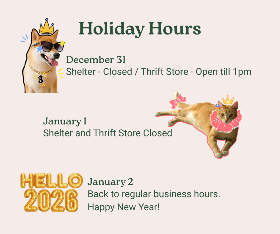 New Year Hours 
