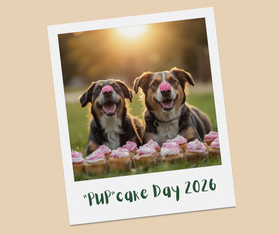 “PUP”Cake Day! 