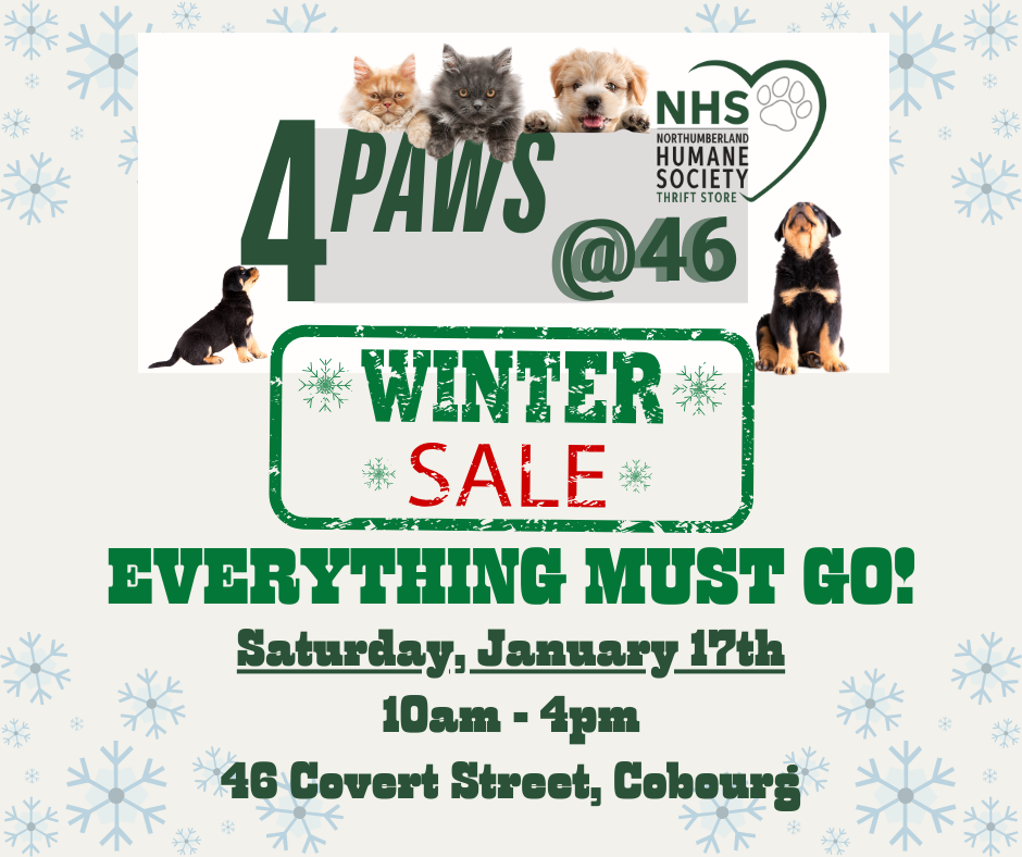 Everything Must Go Sale!
