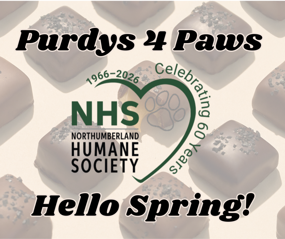 Purdys 4 Paws - Hello Spring!