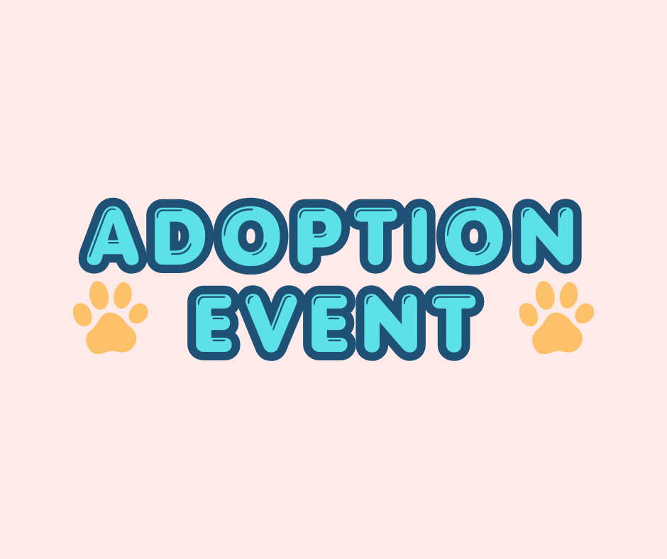 Adoption Event &amp; Family Fun Fair