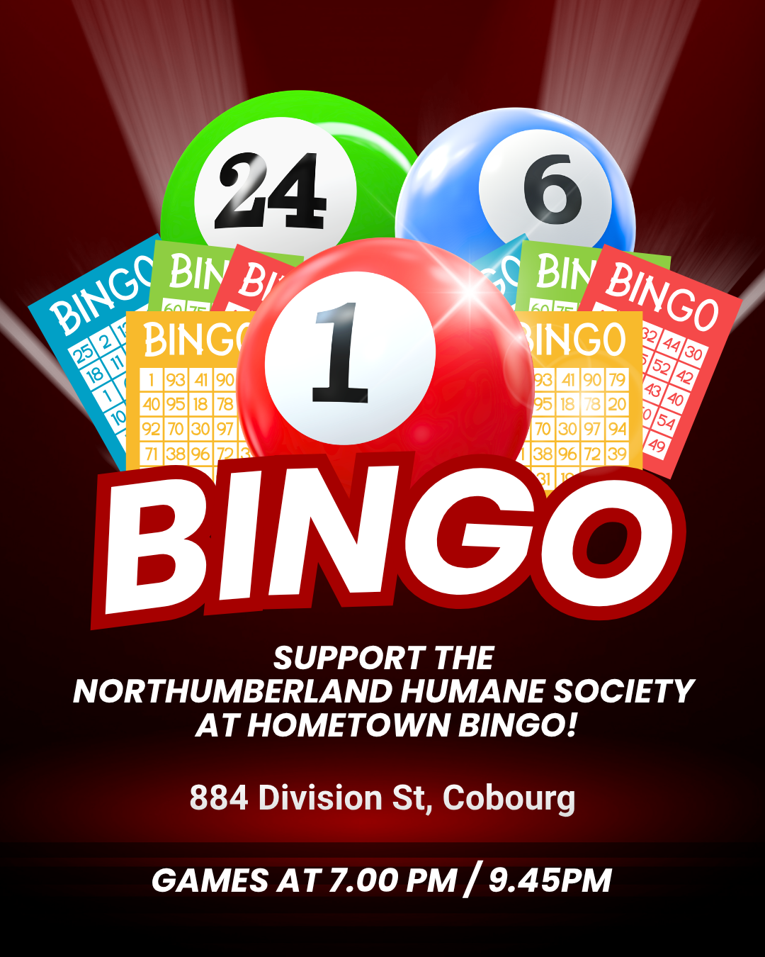 Bingo 