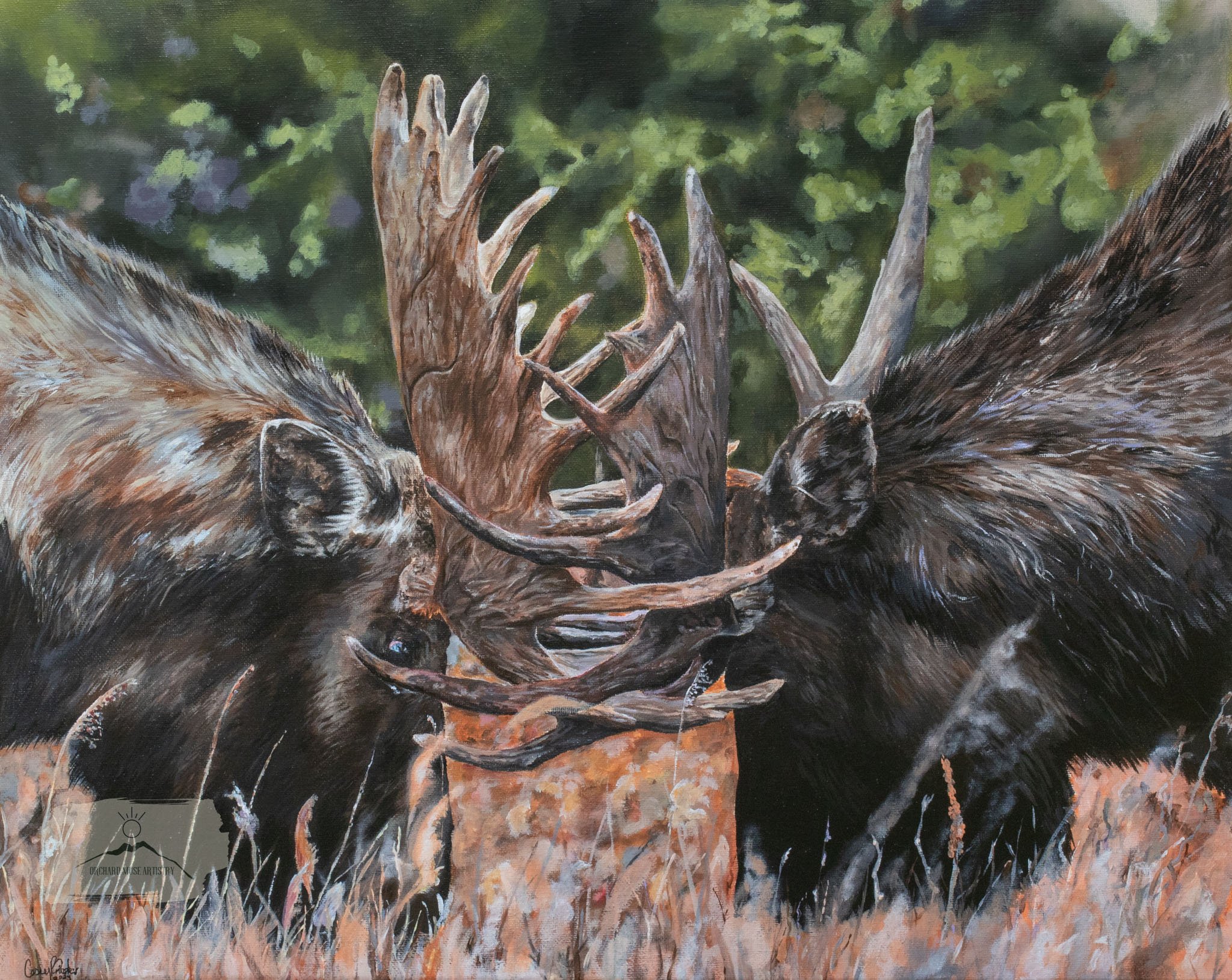 Untamed Stories Collection