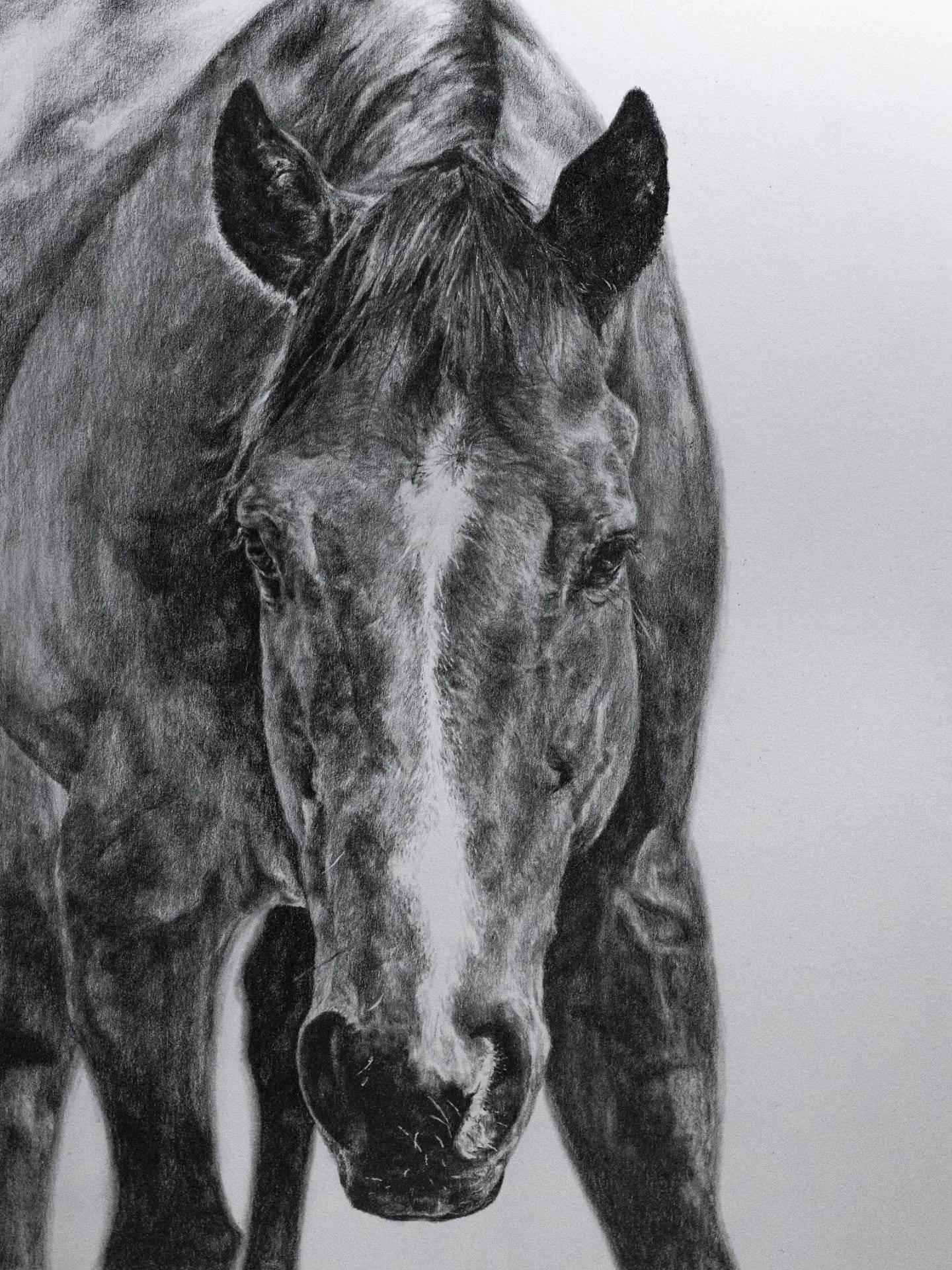 There Will Never Be Another Like Him

9x12 graphite and white gel pen on paper

.

  It was a June day in the summer of 2012, at the local racetrack that I called my second home. As I began my daily barn chores, I walked by what I thought was an empt