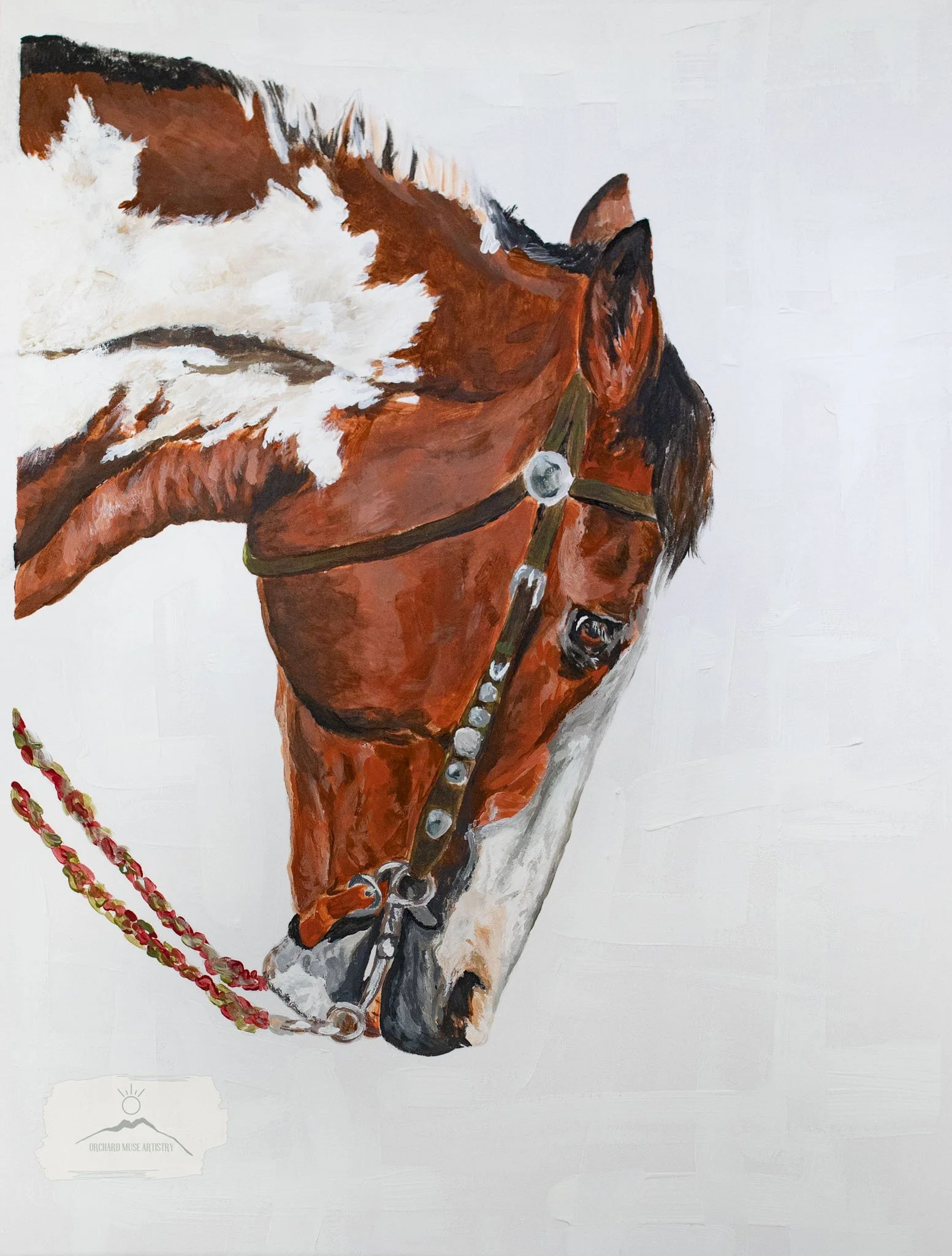 Rodeo Horse Study 1