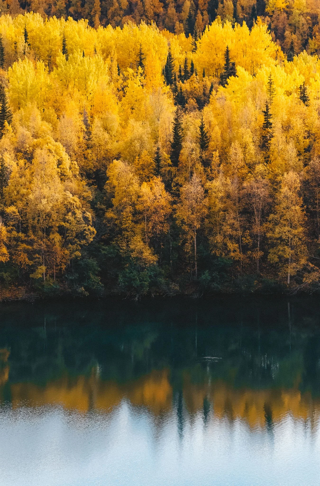 Autumn yellow and orange trees lining a forested hillside next to a calm lake with reflections.