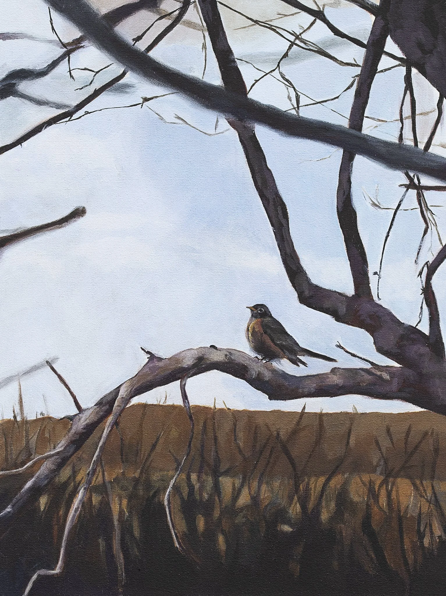 "MAGIC IN THE TREES" from The VAST Collection - Print